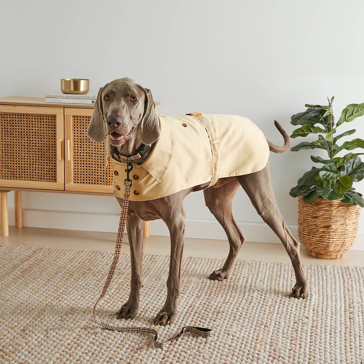 kmart dog rain coat