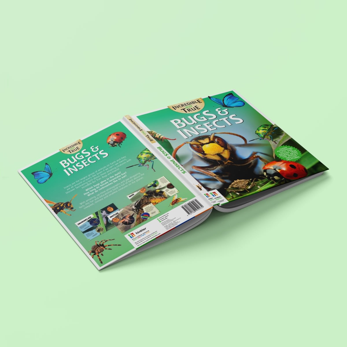 Incredible But True Bugs & Insects Book Kmart