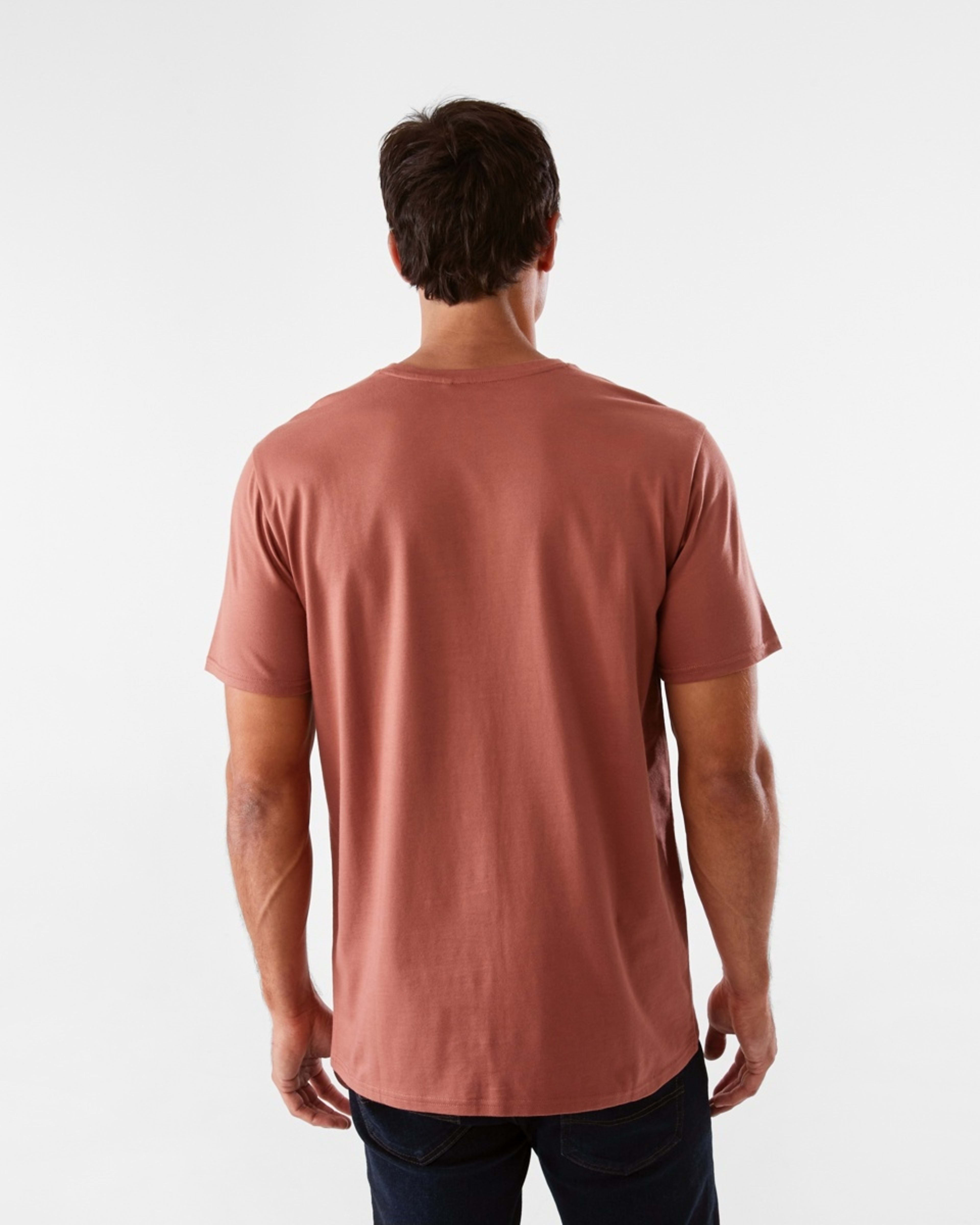 2 Australian Grown Cotton Crew Neck T-shirt Brn Cope, 2 of 5