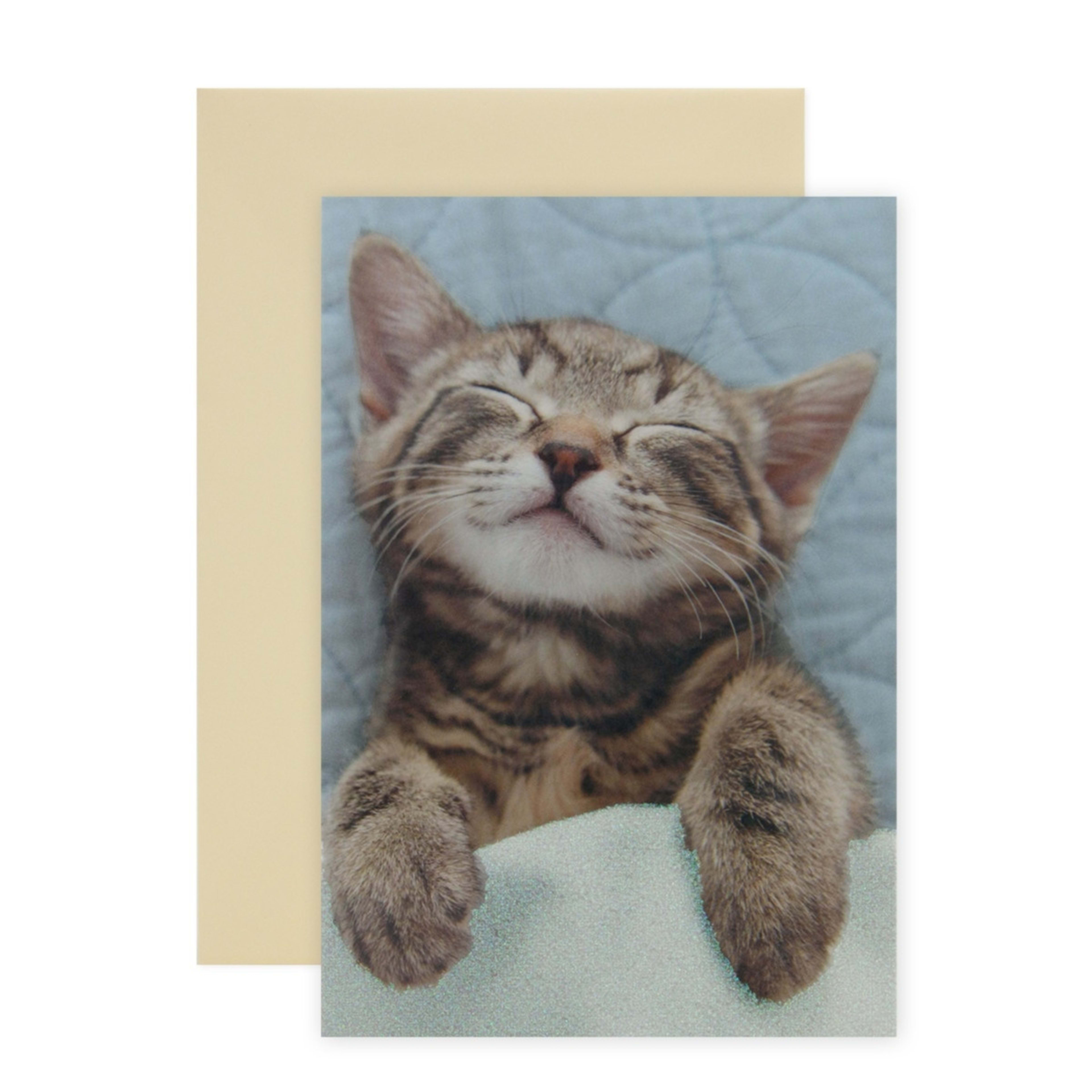 1 Connections from Hallmark Greeting Card - Sleepy Kitty, Warm Kitty