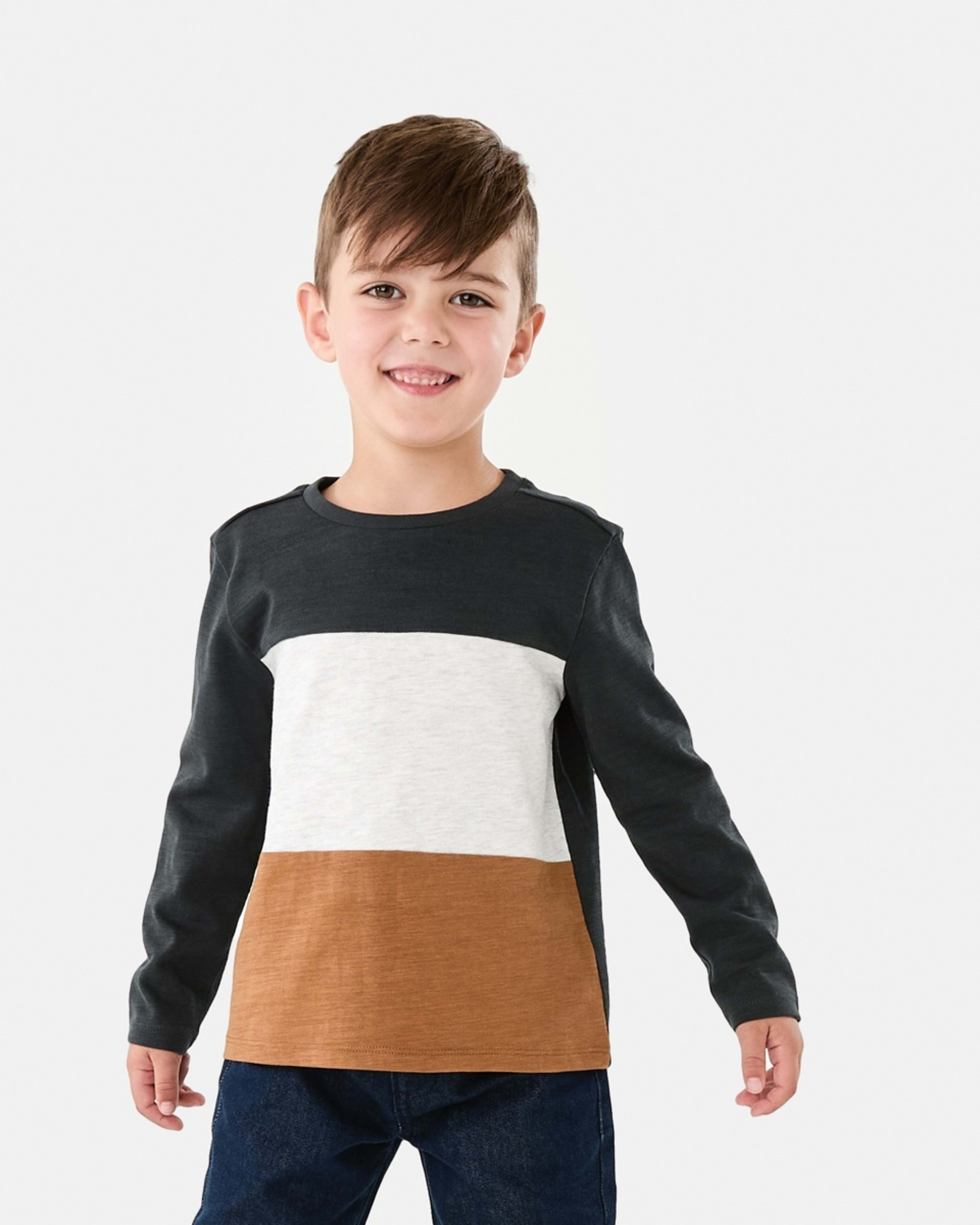 1 Long Sleeve Panel T-shirt Wood Grey, 1 of 8