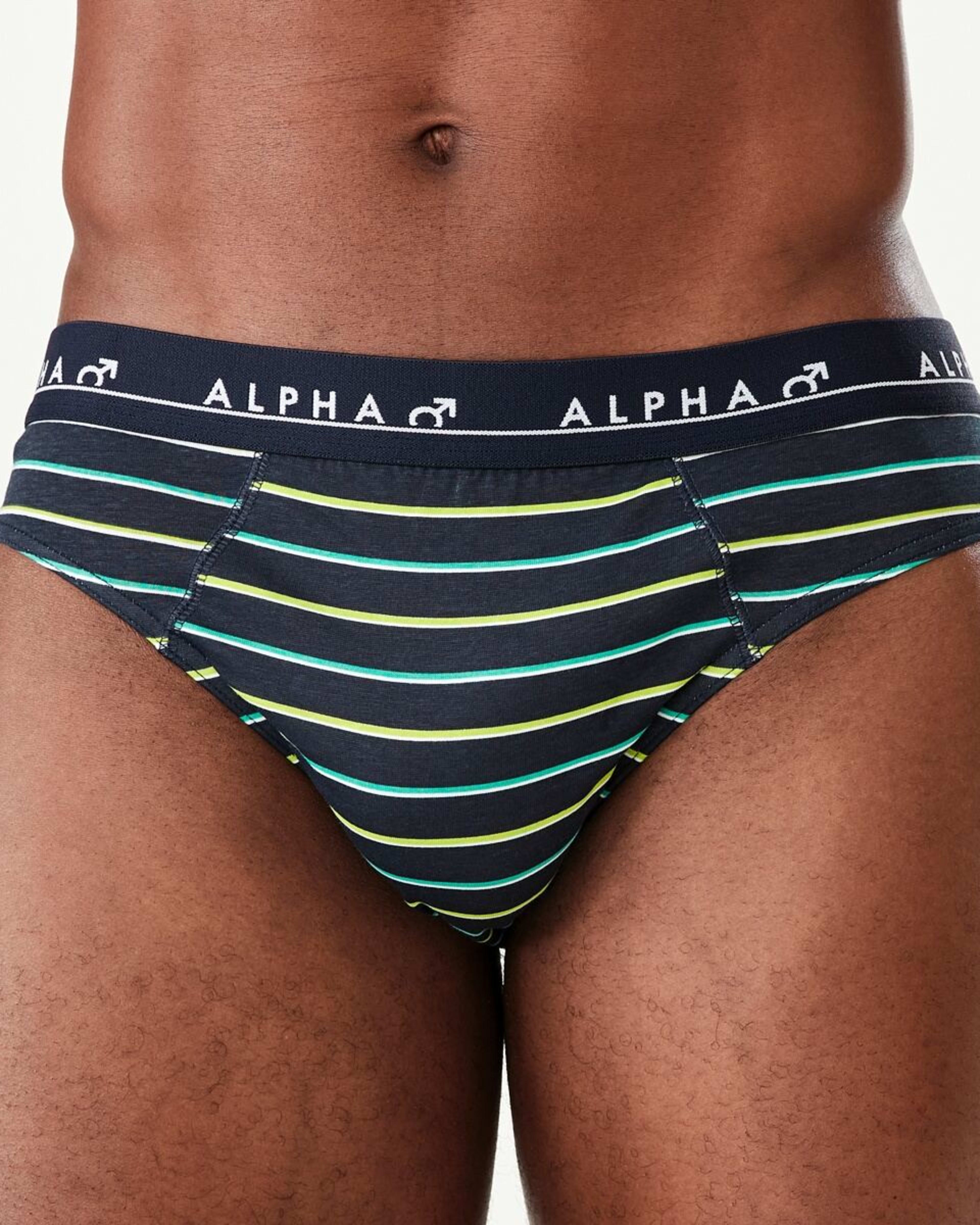 4 5 Pack Alpha Attached Elastic Hipster Briefs LIGHTSCAPE, 4 of 10
