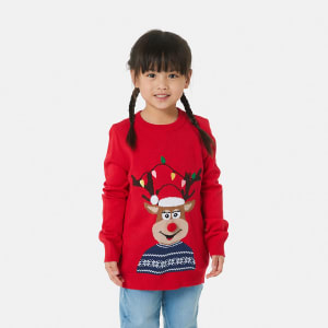 Family Christmas Reindeer Knit Sweater - Kmart