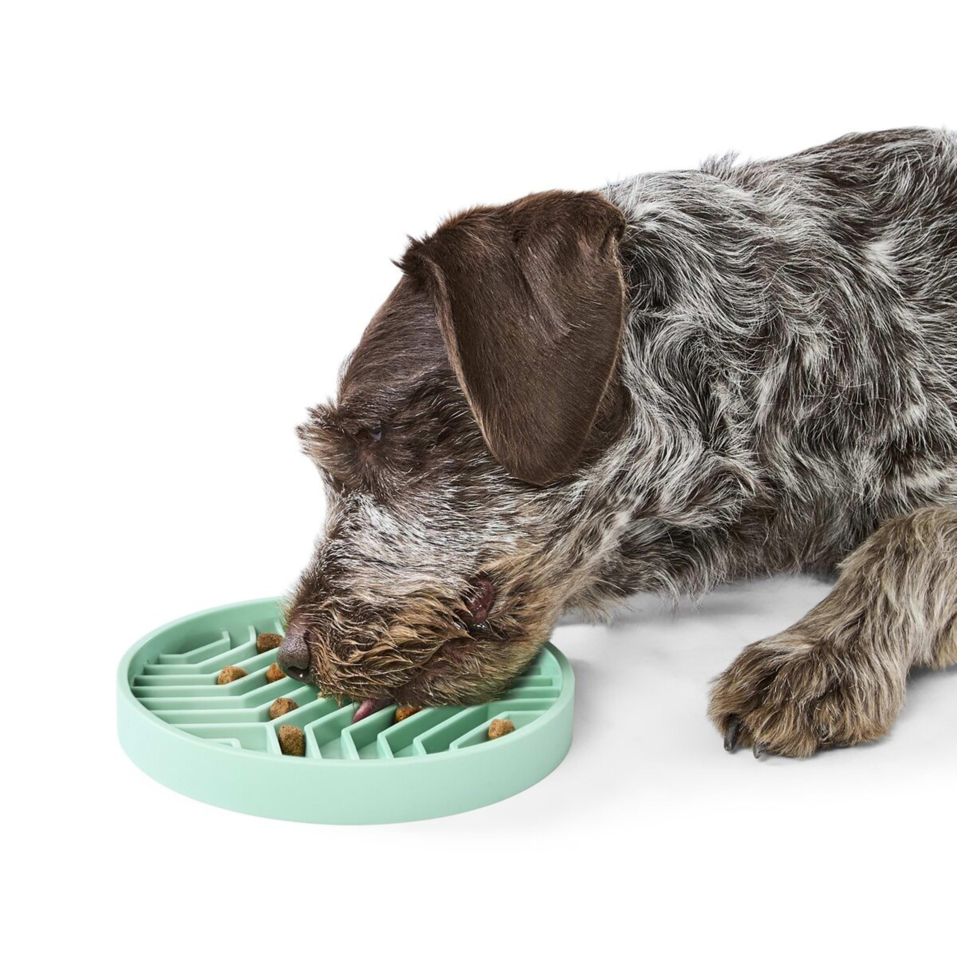 2 Pet Silicone Slow Feed Plate - Teal, 2 of 7