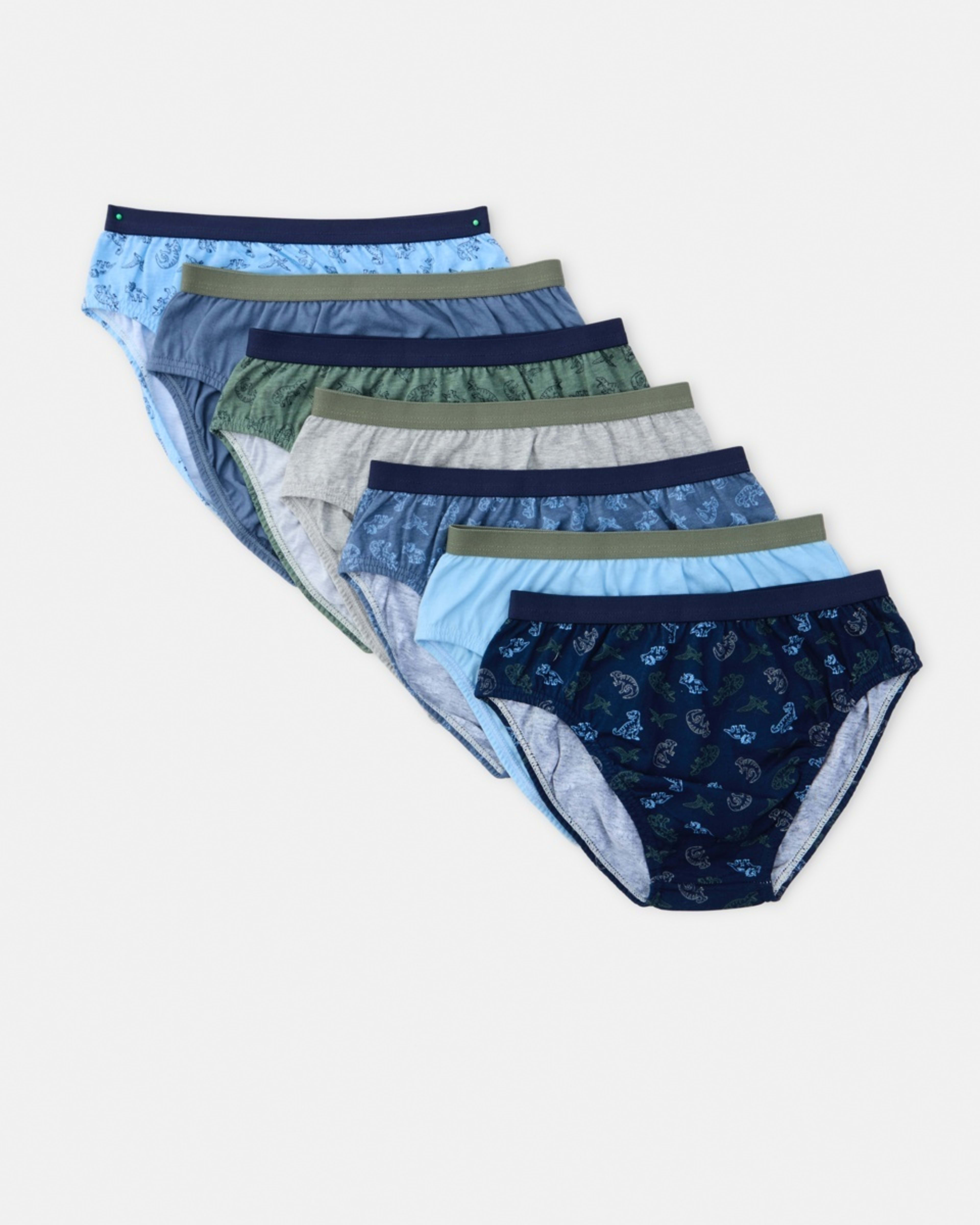 1 7 Pack Days Of The Week Briefs DINOS