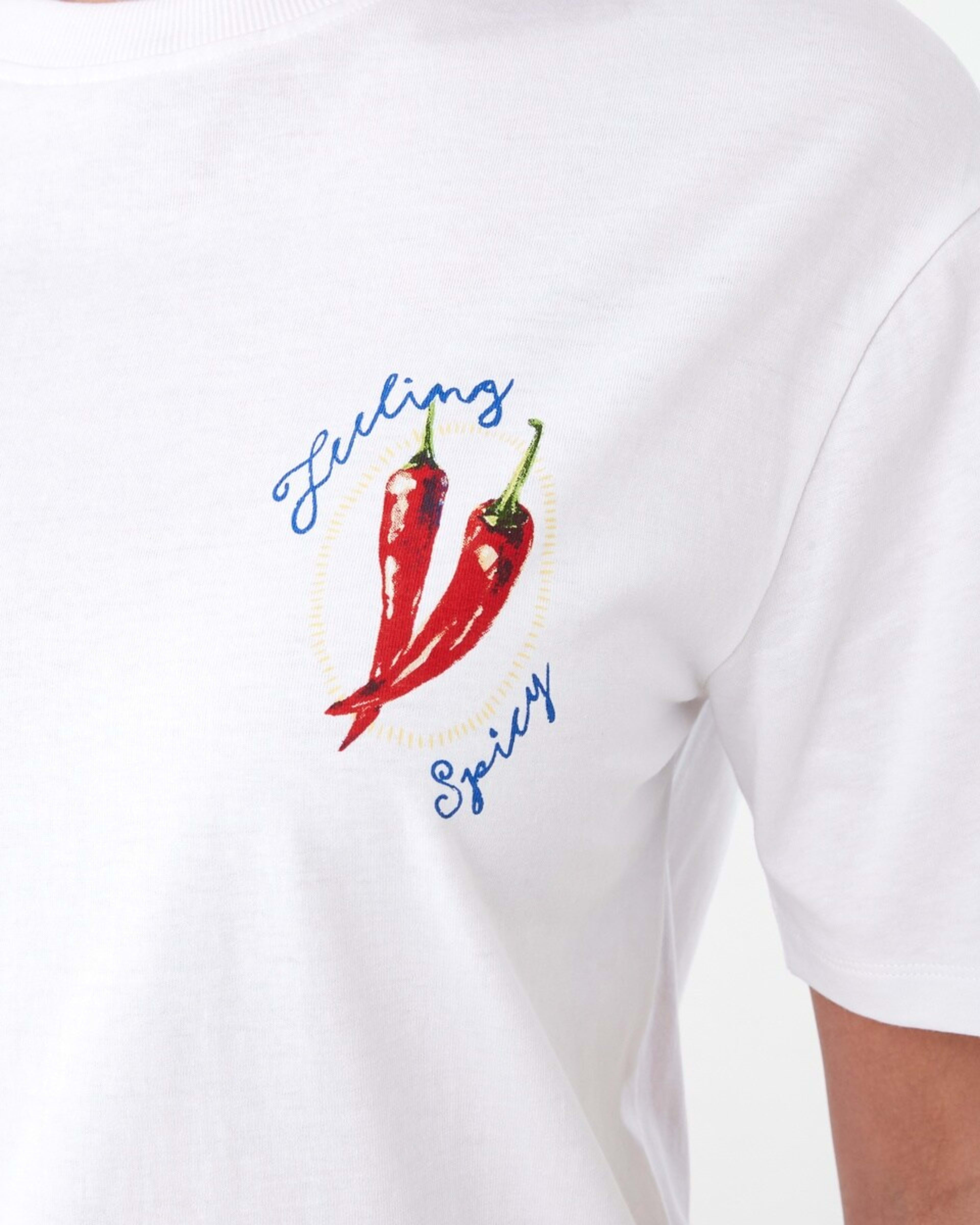5 Short Sleeve Oversized Boyfriend T-shirt PICANTE WHITE, 5 of 6