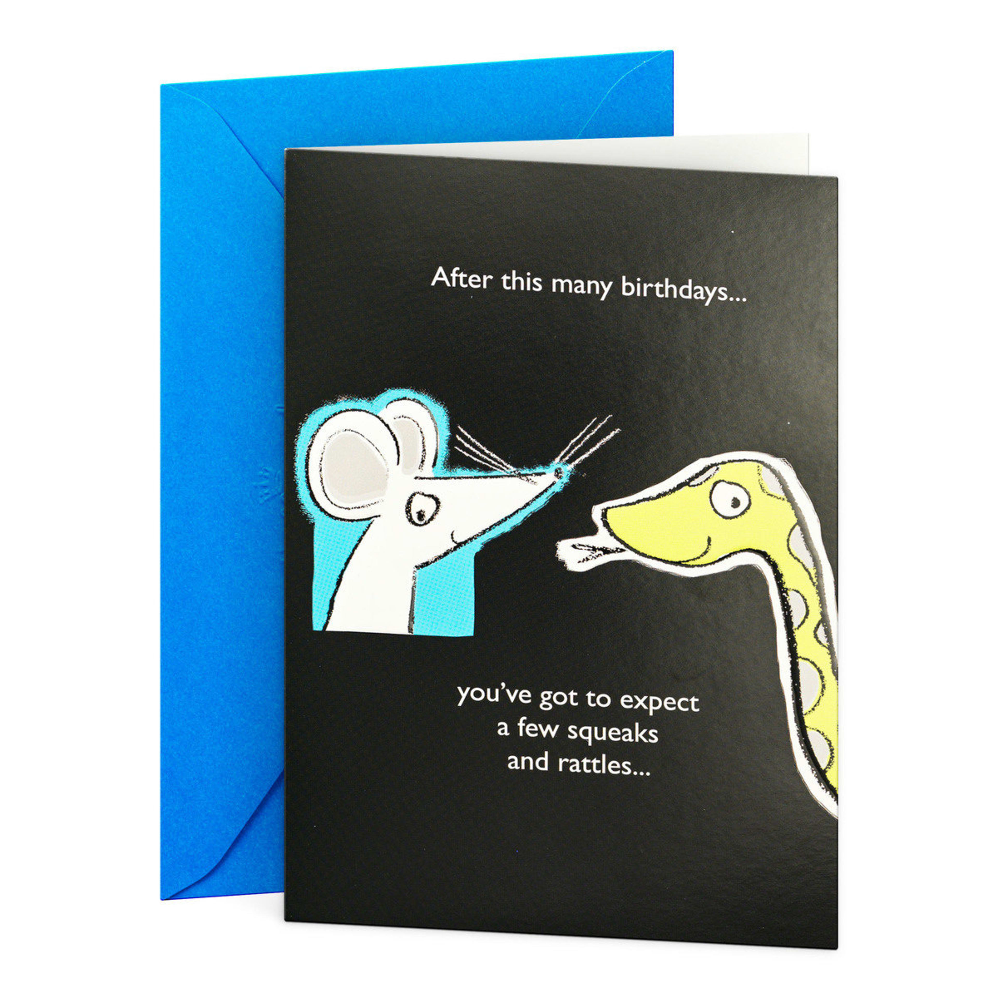 1 Hallmark Birthday Card - Squeaks and Rattles
