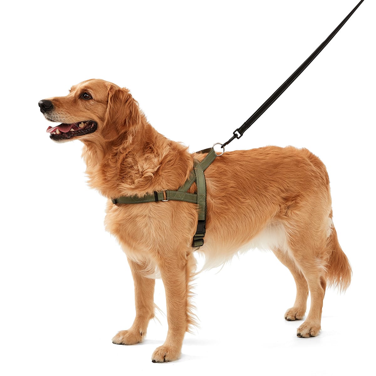 Dog Fast Clip Harness Extra Large