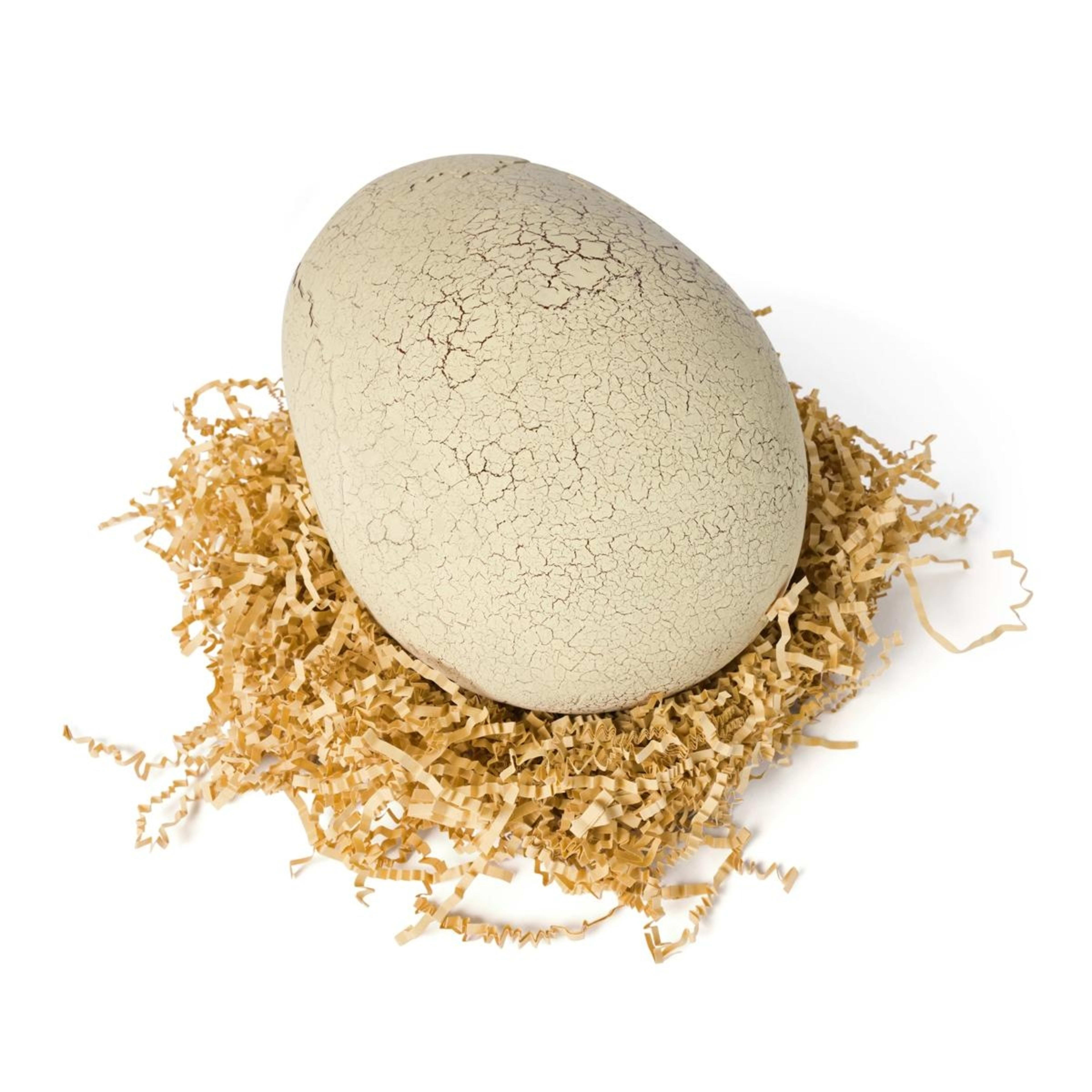 5 Jurassic World Primal Hatch T. Rex Specimen Toy, 5 of 10