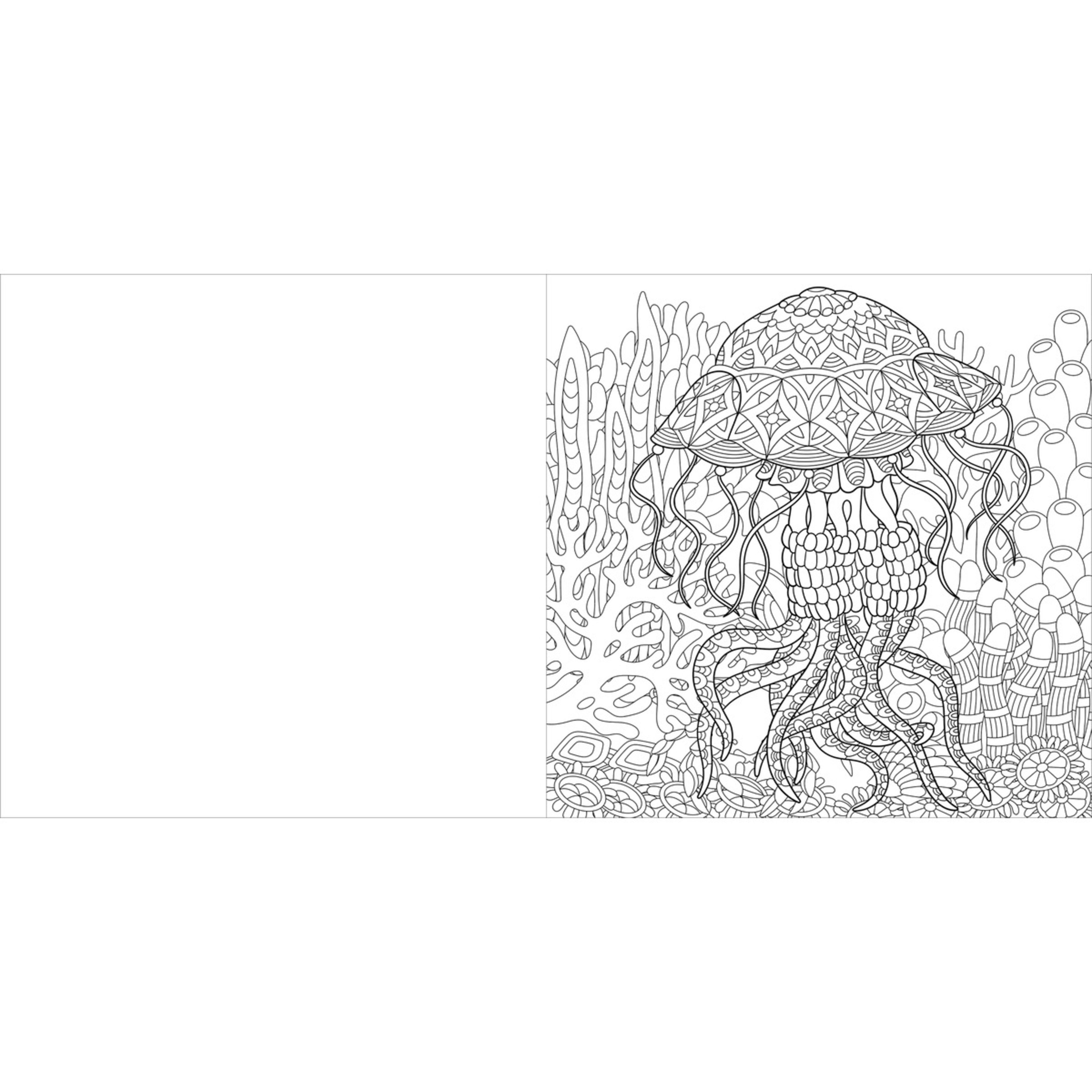 2 Fantastica - Book, 2 of 4
