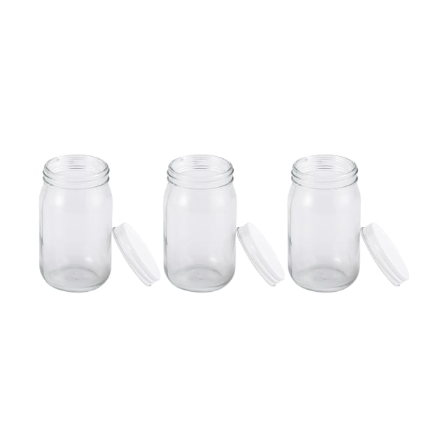 3 Pack Mini Mason Jars Kmart
