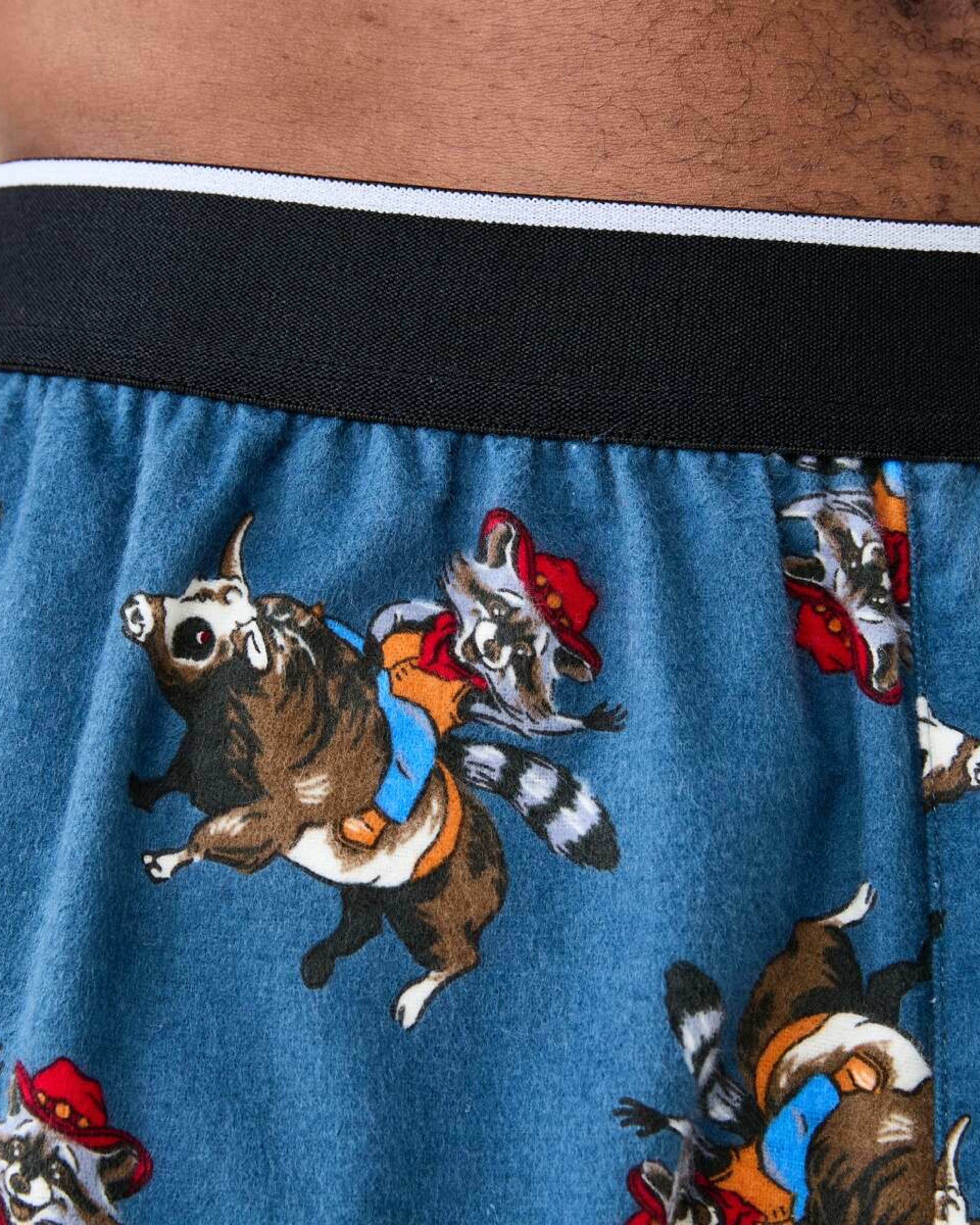 4 Printed Flannel Pants Yee Har, 4 of 5