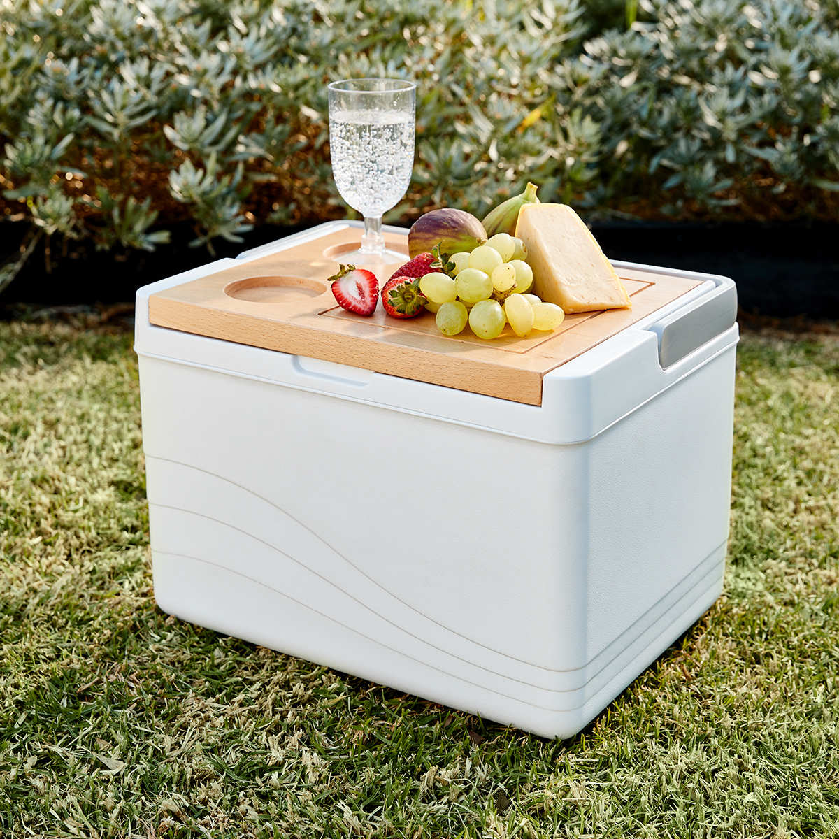 Kmart picnic outlet cooler