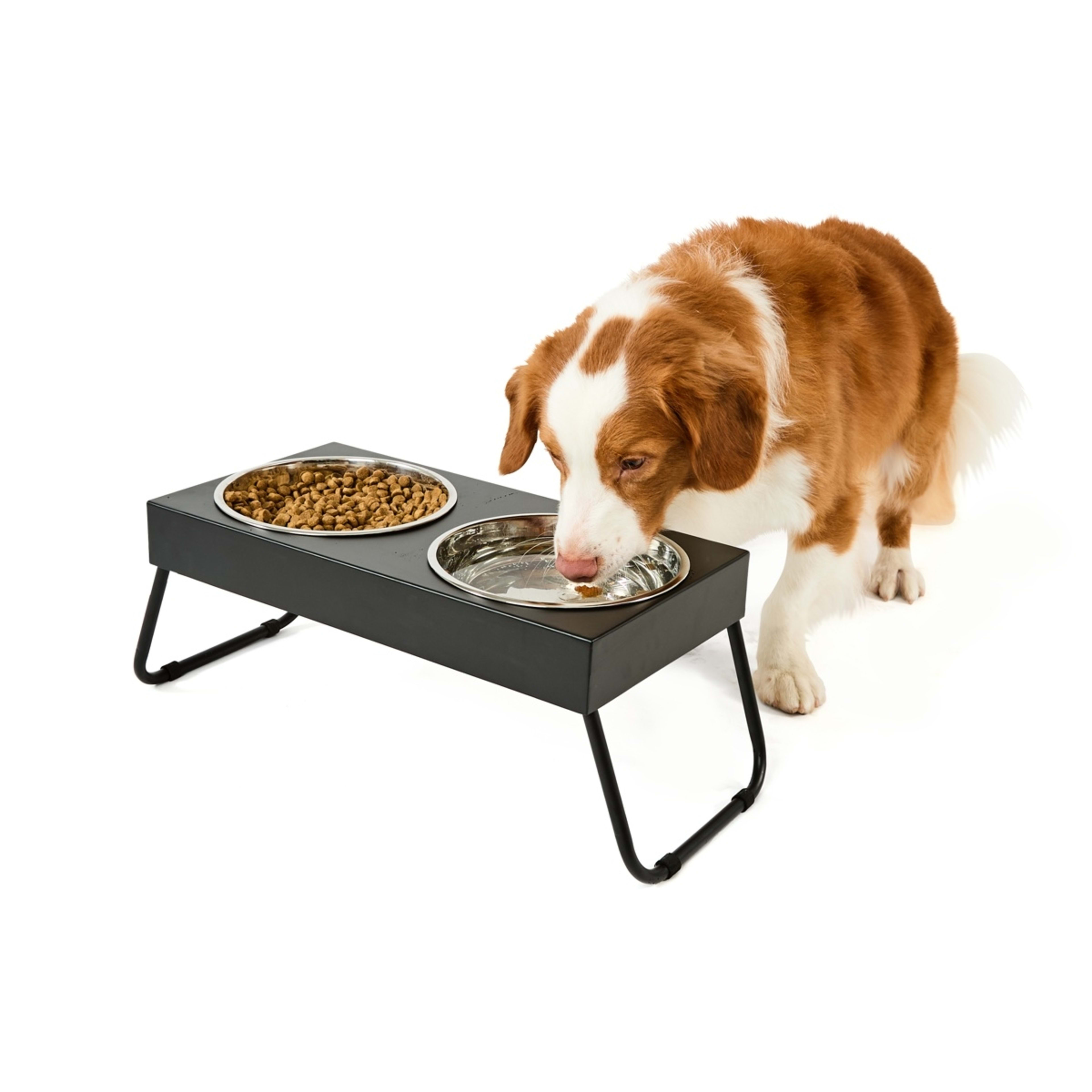 1 Pet Bowl Twin Elevated Folding - Extra Large, 1 of 10