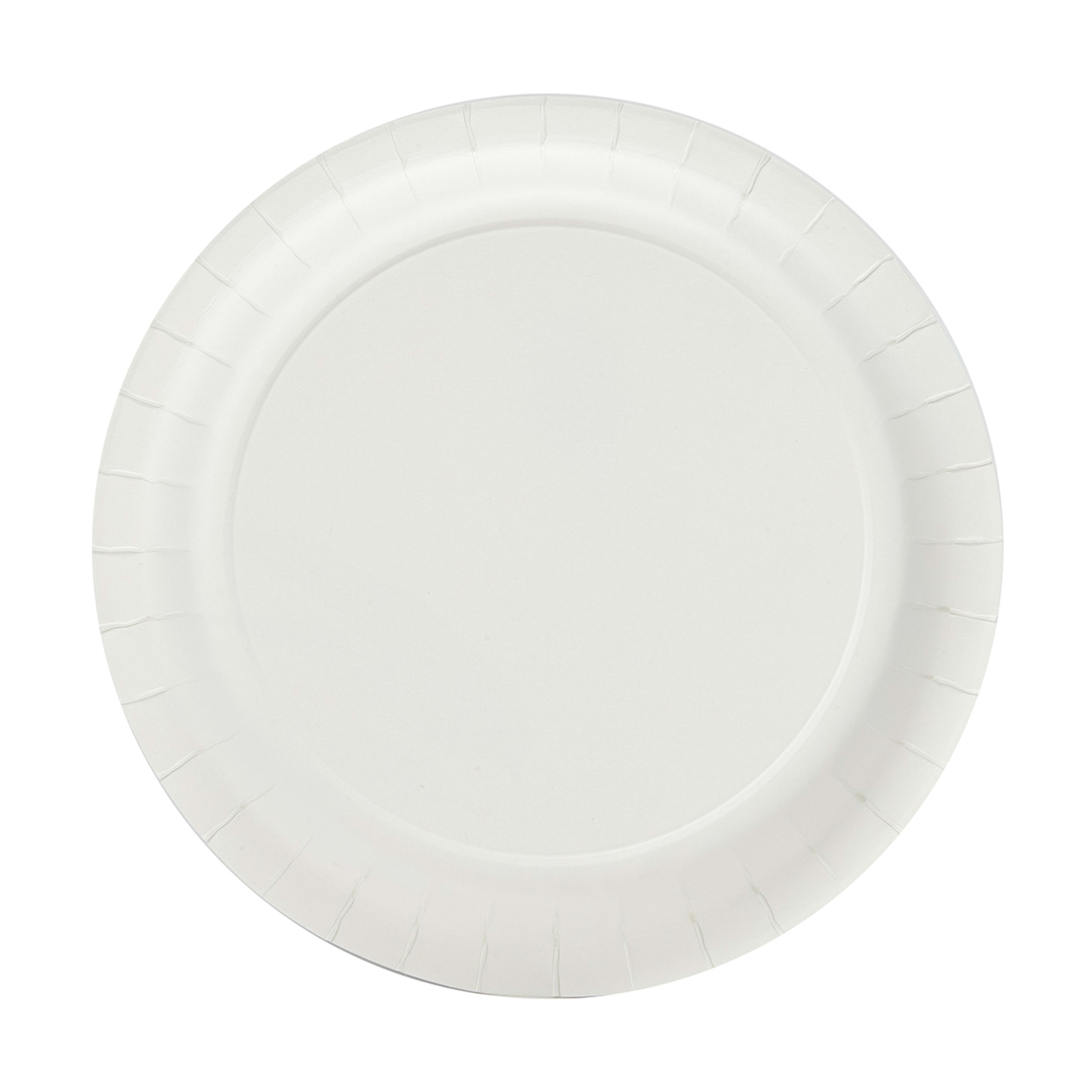 16-pack-botanical-paper-plates-kmart