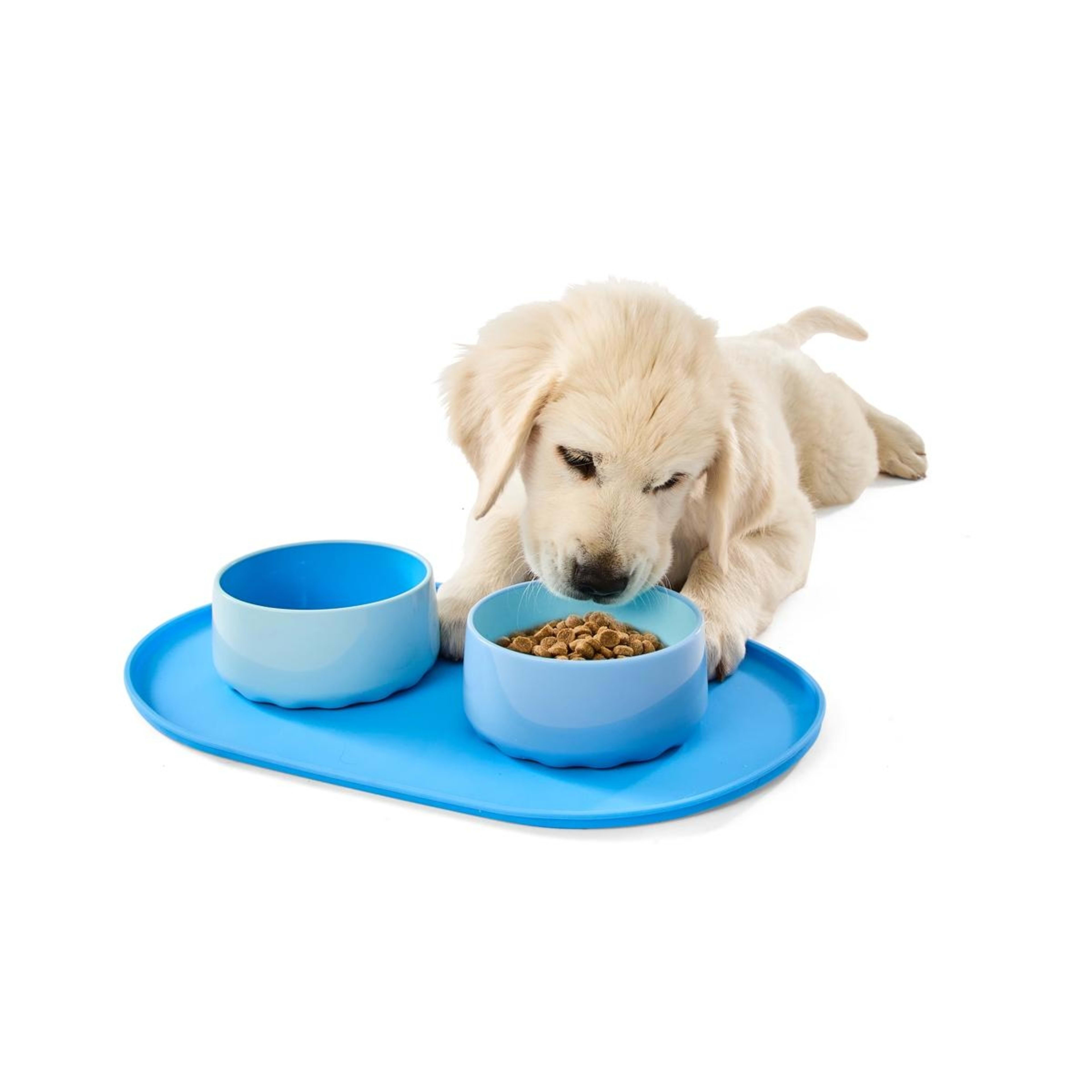 1 Puppy Bowl Starter Pack - Blue