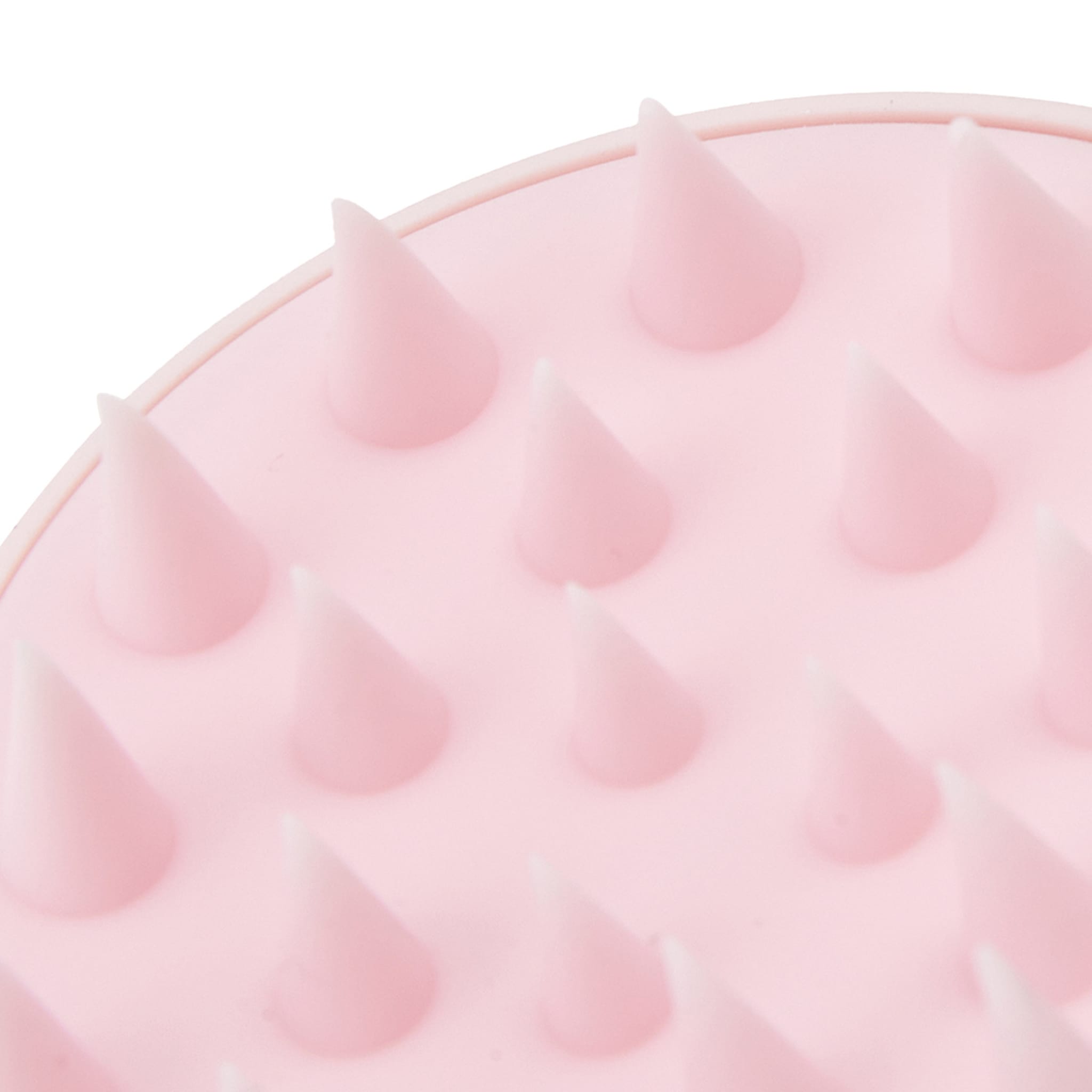 Shampoo Brush Blush Kmart