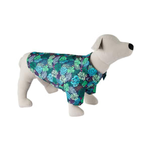 Shop Pet T Shirts - Kmart NZ