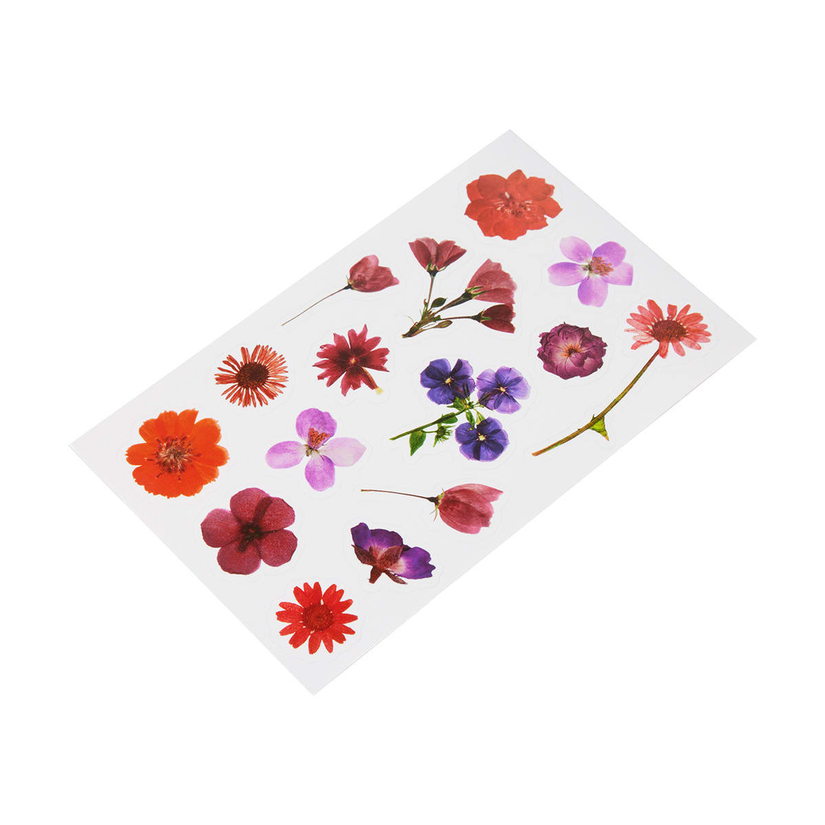 6 Pack Pressed Flower Stickers Kmart