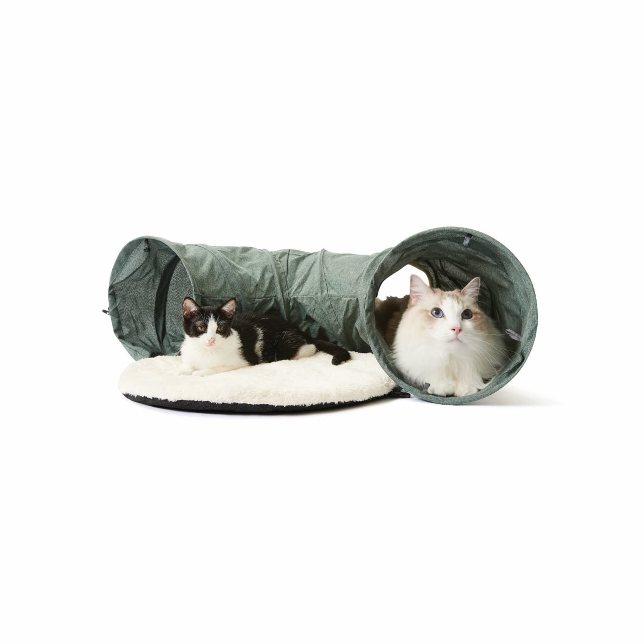 Cat Mat & Tunnel Kmart