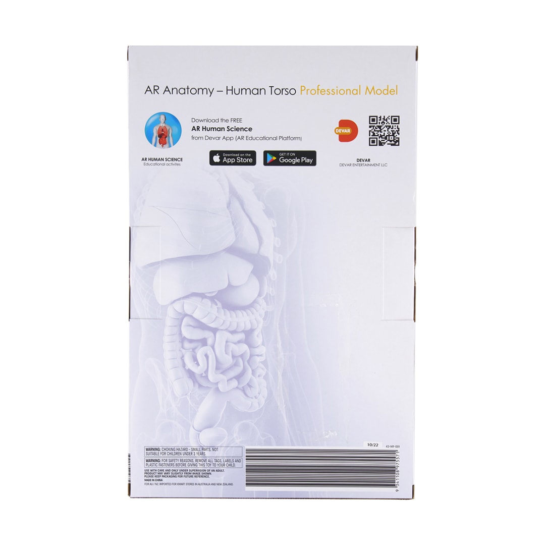 AR Anatomy Professional Model Human Torso Kmart