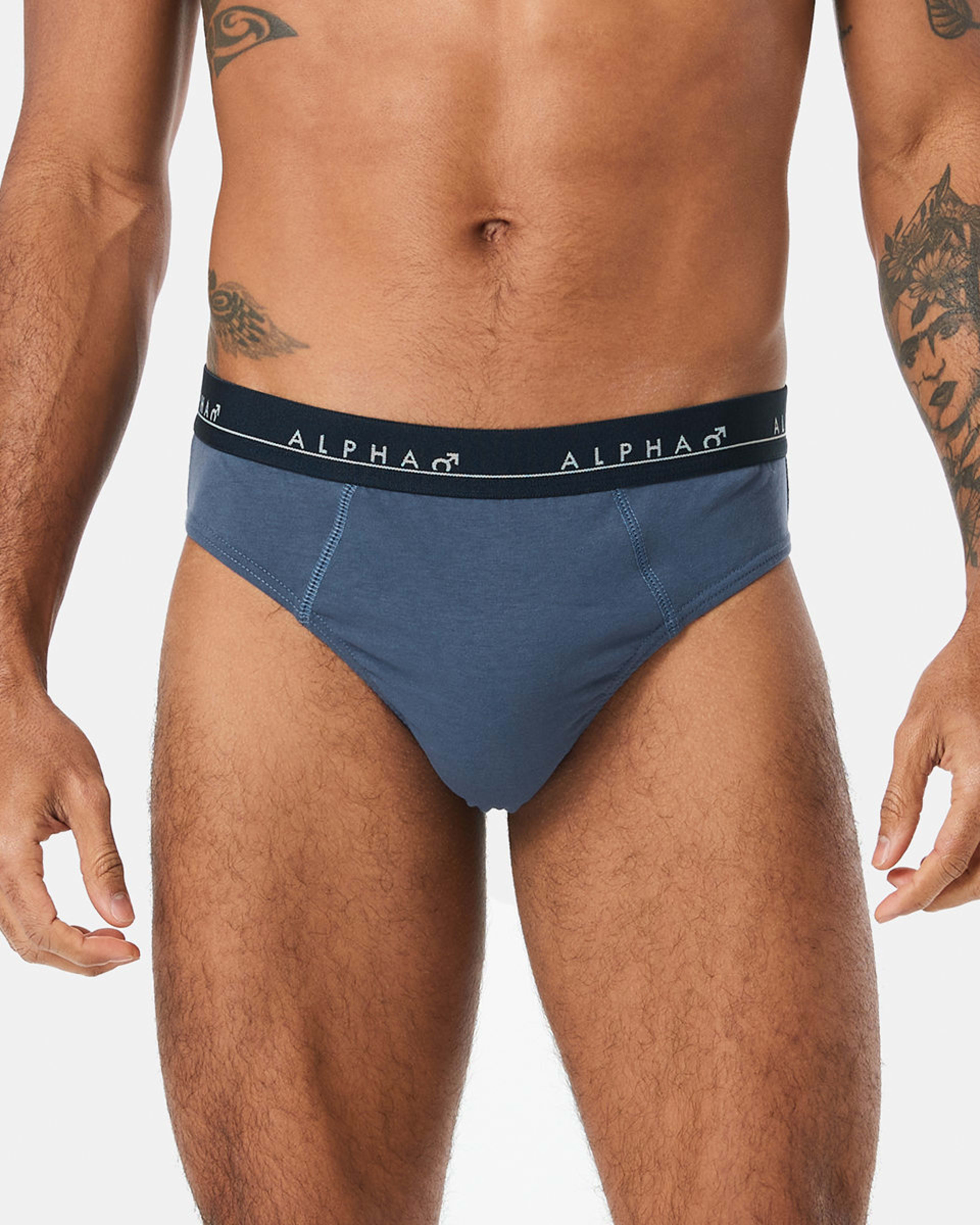 3 5 Pack Printed Briefs Dogshead, 3 of 10