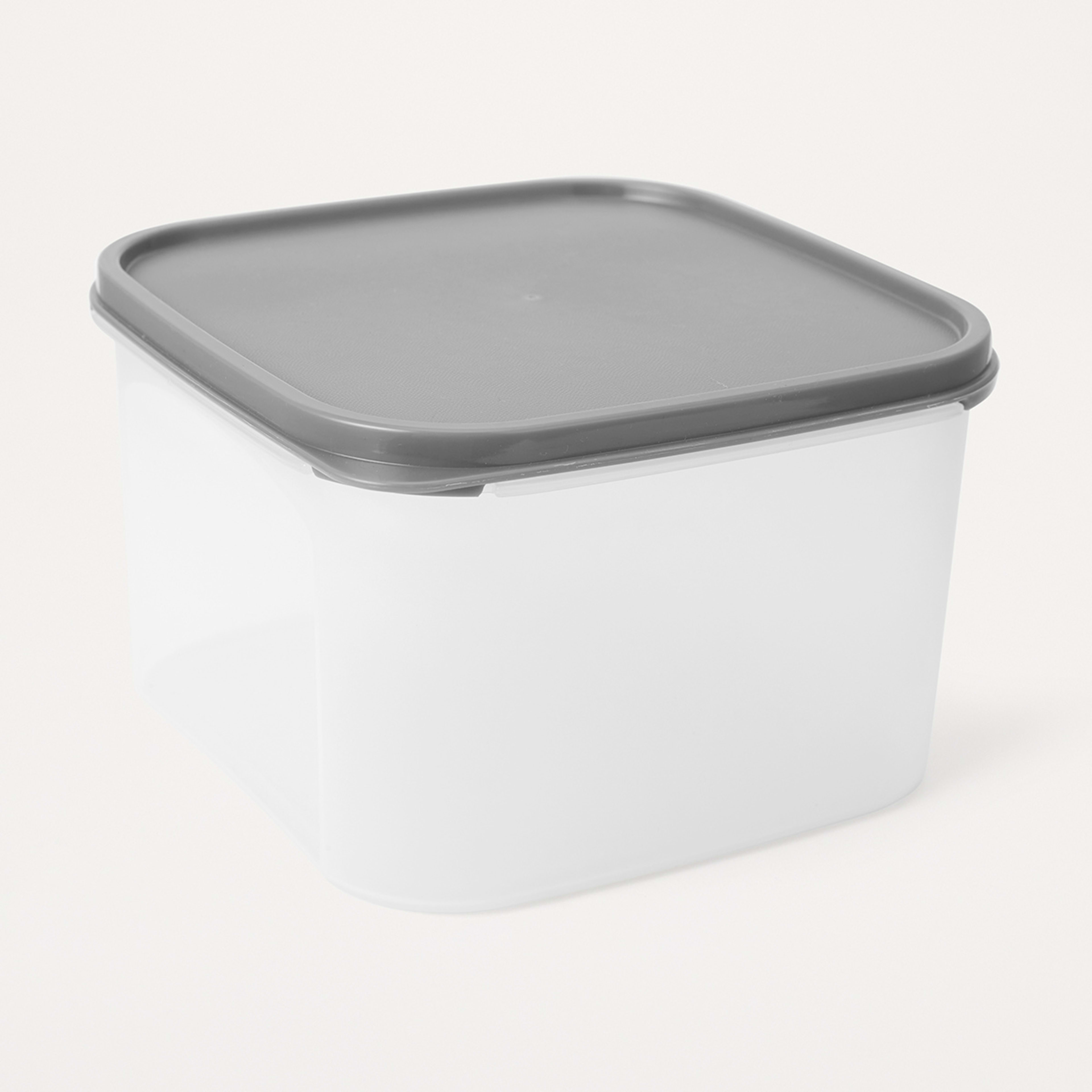 2.7L Dry Food Storage Container Kmart
