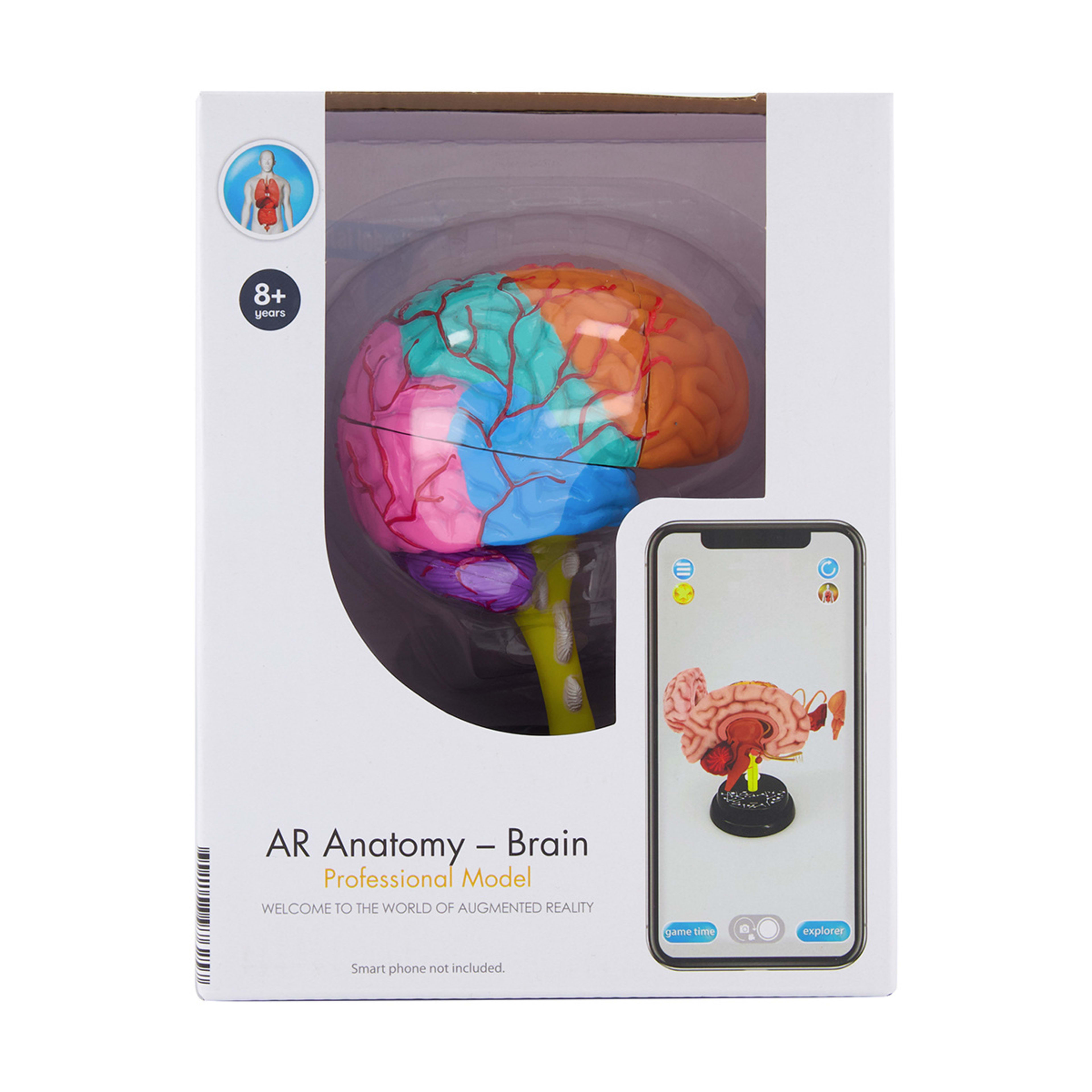 AR Anatomy Professional Model Brain Kmart