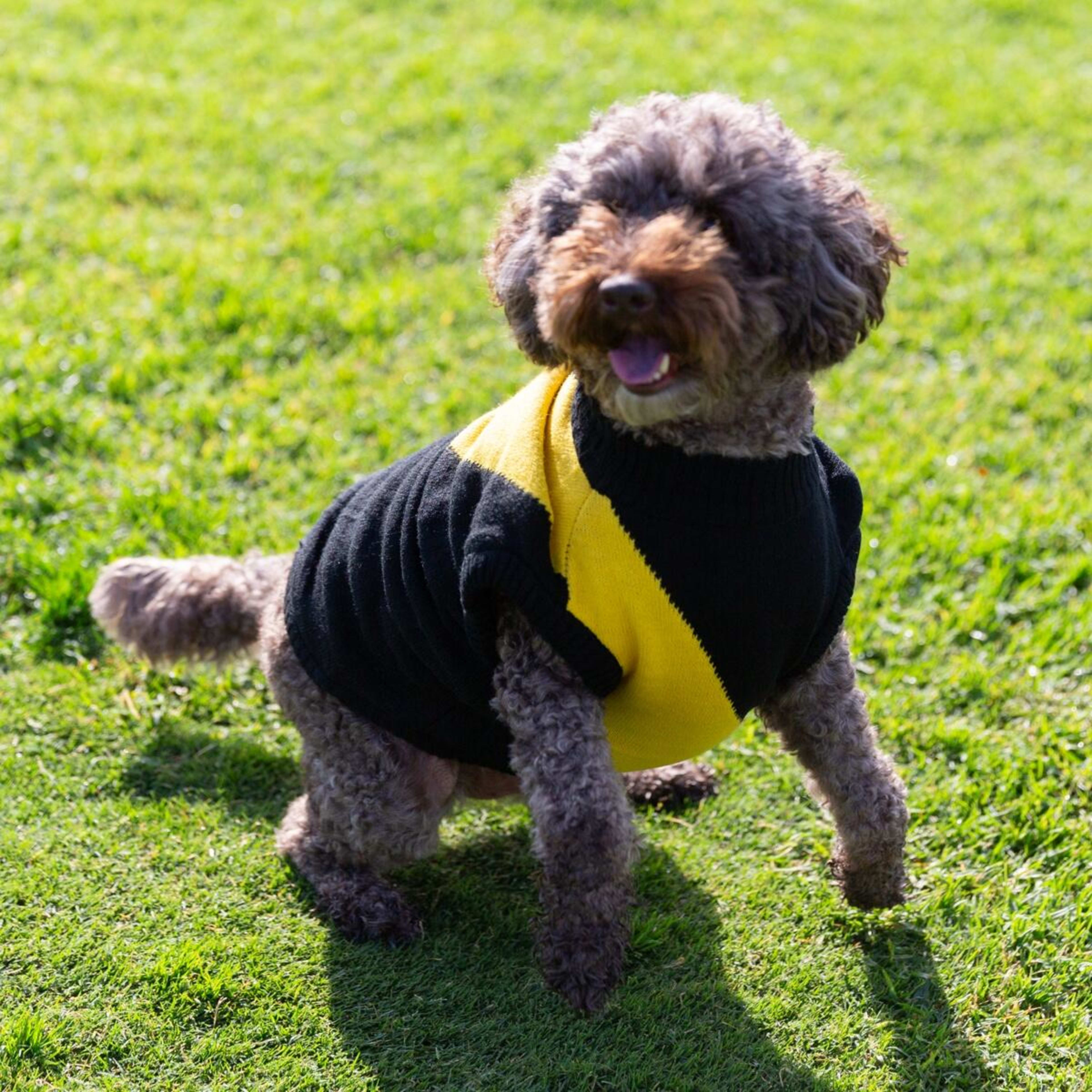 3 AFL Richmond Tigers Pet Jumper - Medium, 3 of 4
