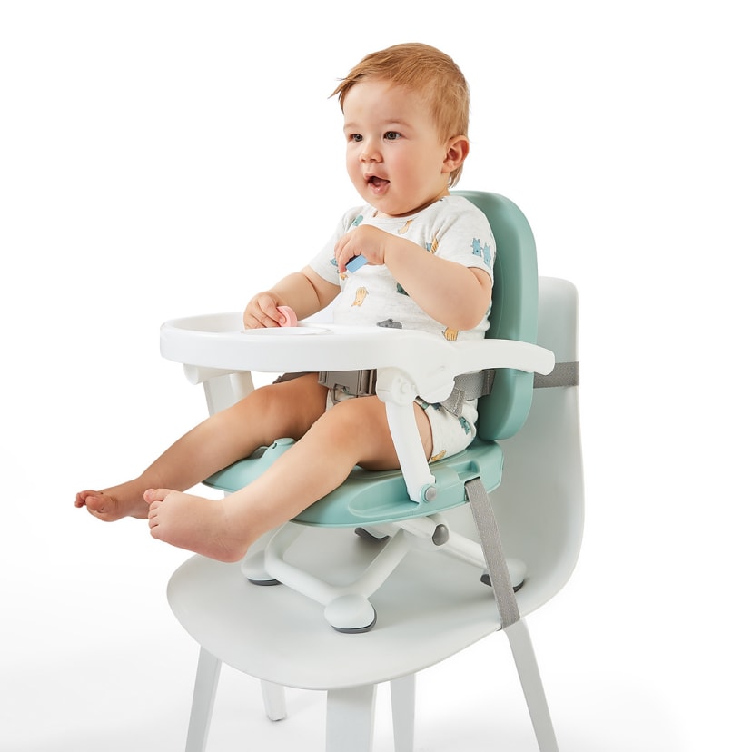Portable Highchair Booster Seat Kmart