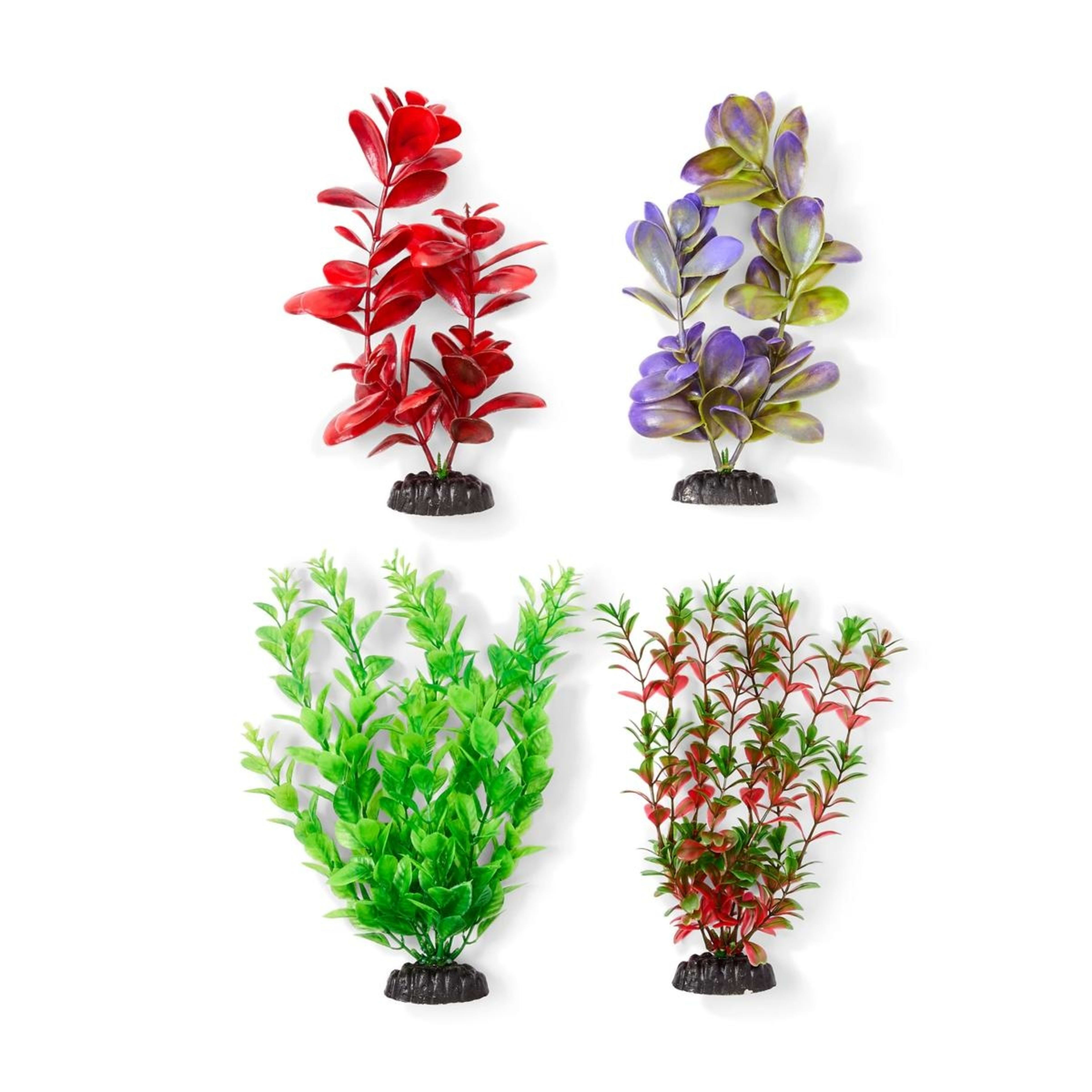 1 Aquarium Natural Plants 4 Pack - Large