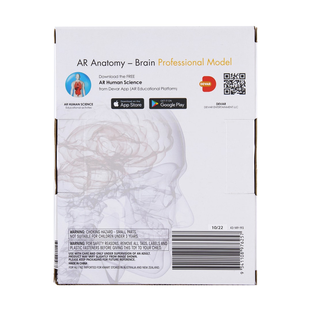 AR Anatomy Professional Model Brain Kmart