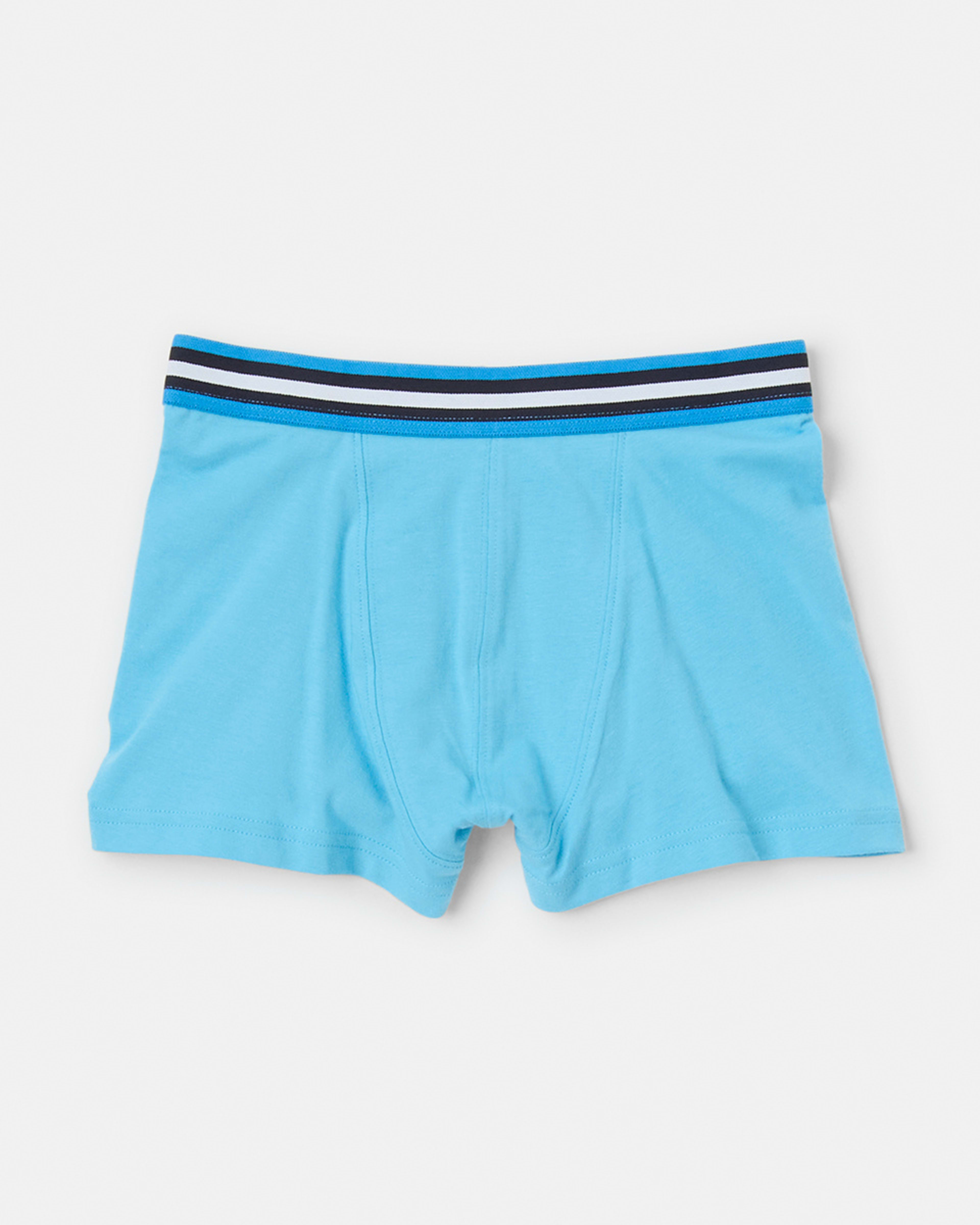 7 7 Pack Attached Elastic Trunks BLUES STRIPE, 7 of 10