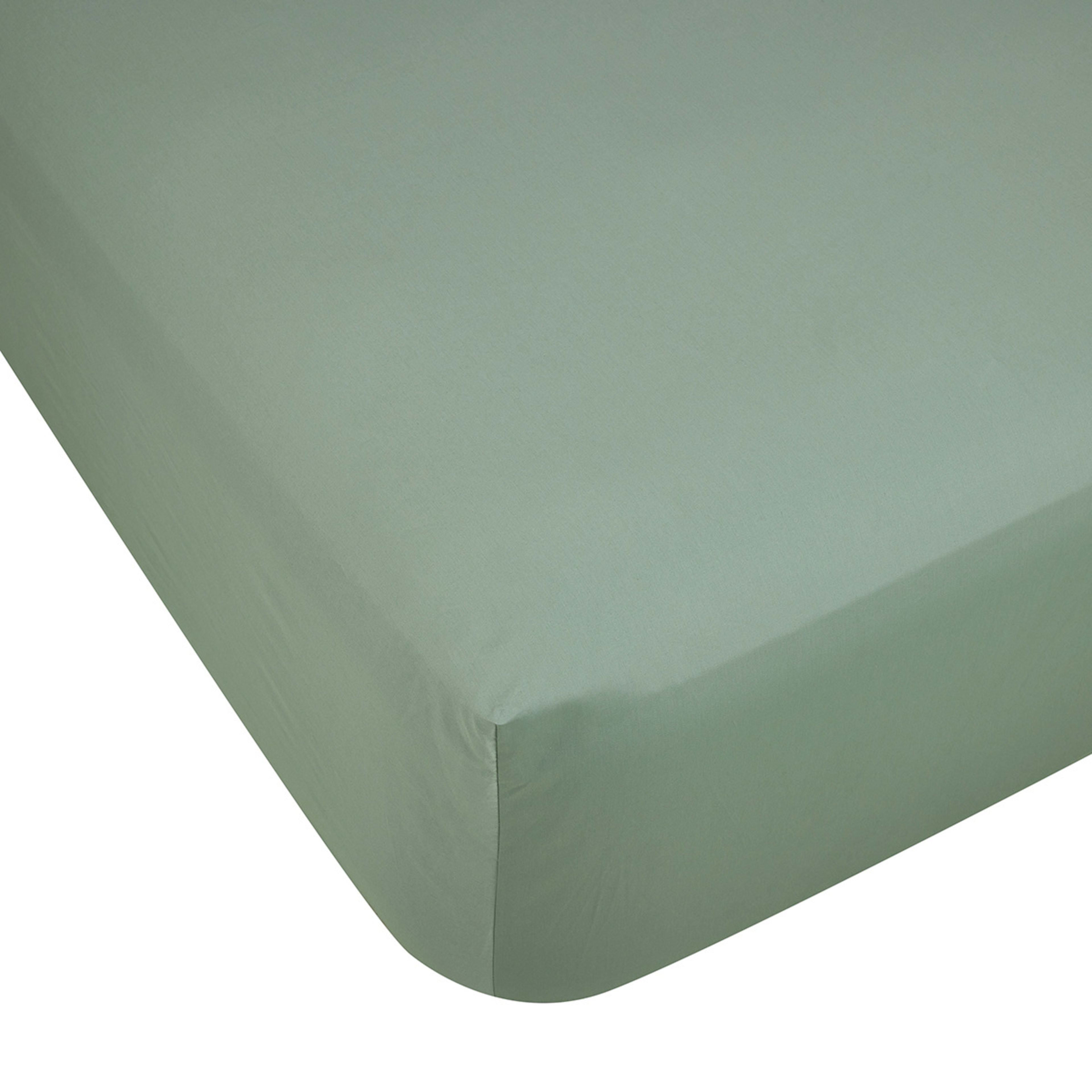 1 500 Thread Count Australian Grown Cotton Fitted Sheet - Queen Bed, Sage