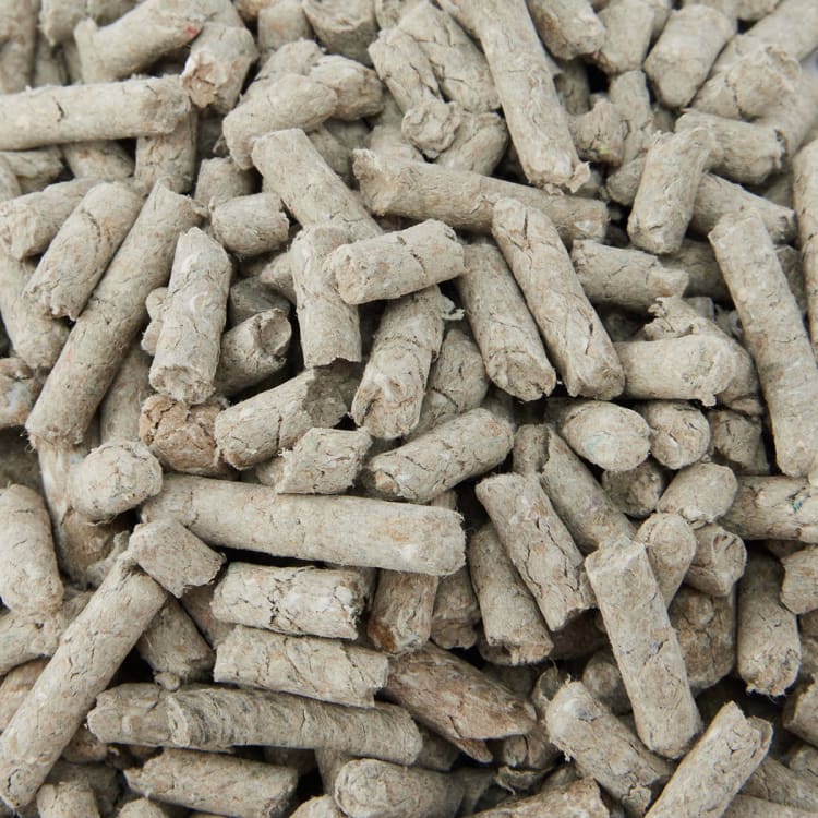 Cat Litter Paper Kmart NZ