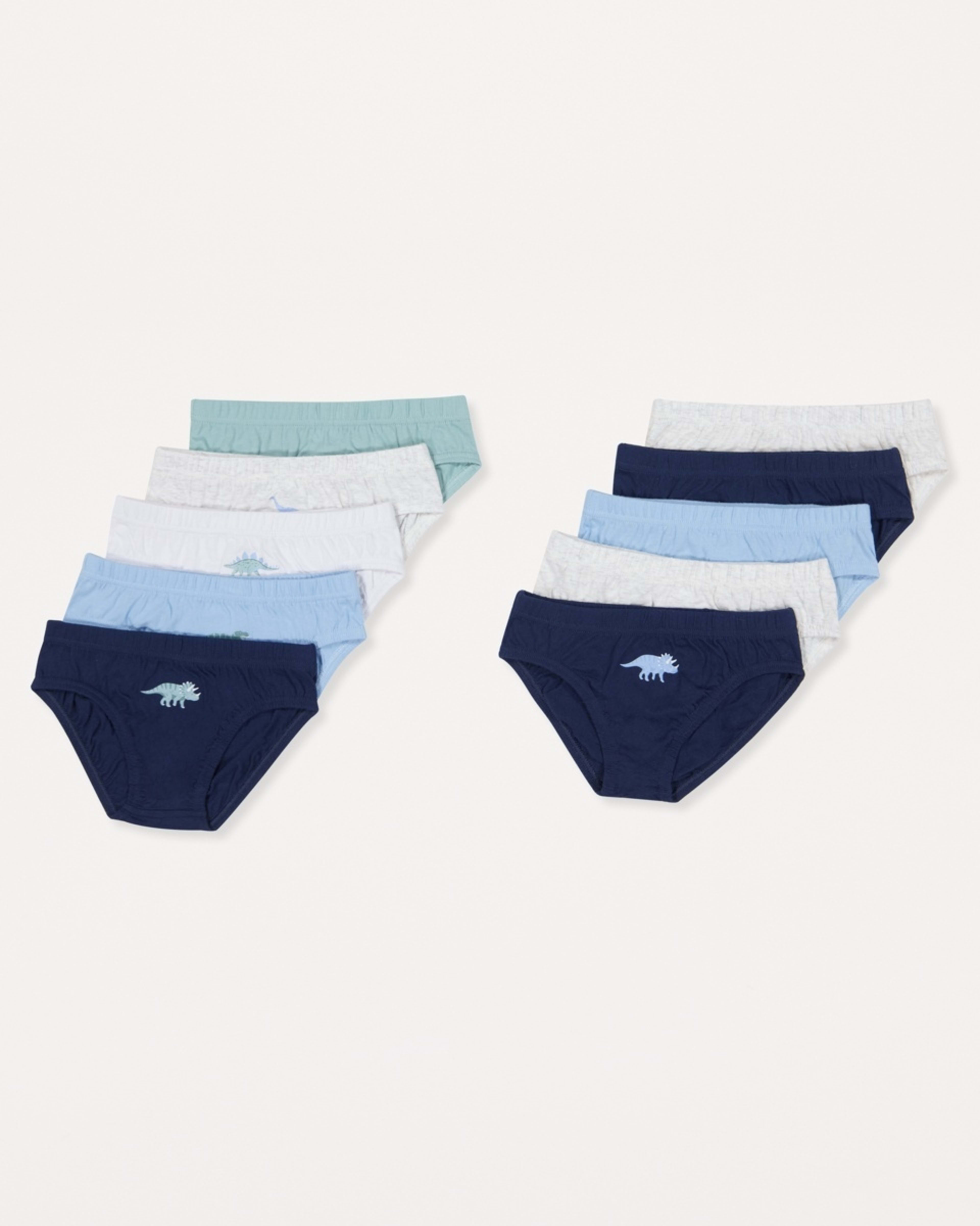 1 10 Pack Briefs Blu Dino