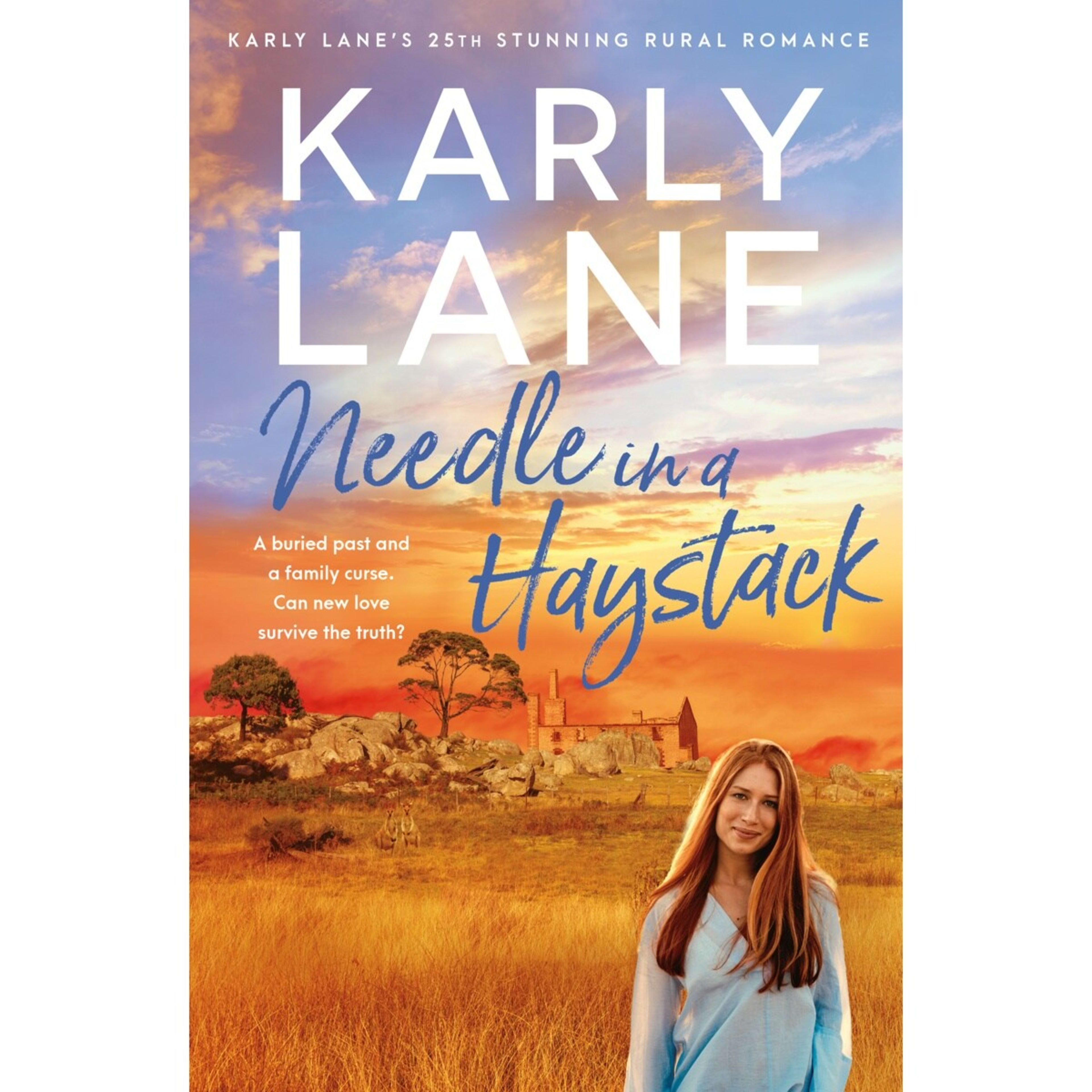 1 Needle in a Haystack by Karly Lane - Book