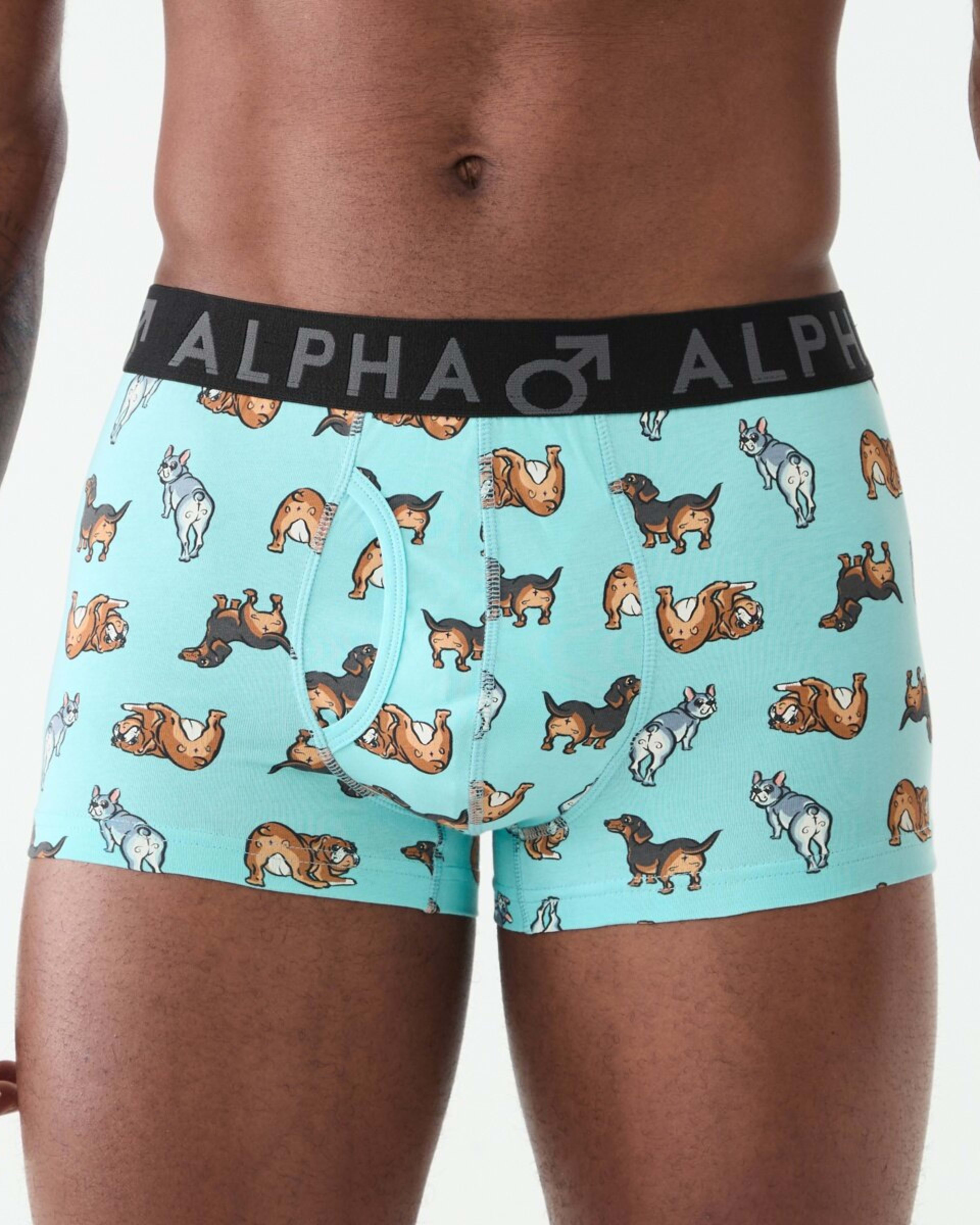 2 3 Pack Fly Front Print Trunks Hey Pups, 2 of 8