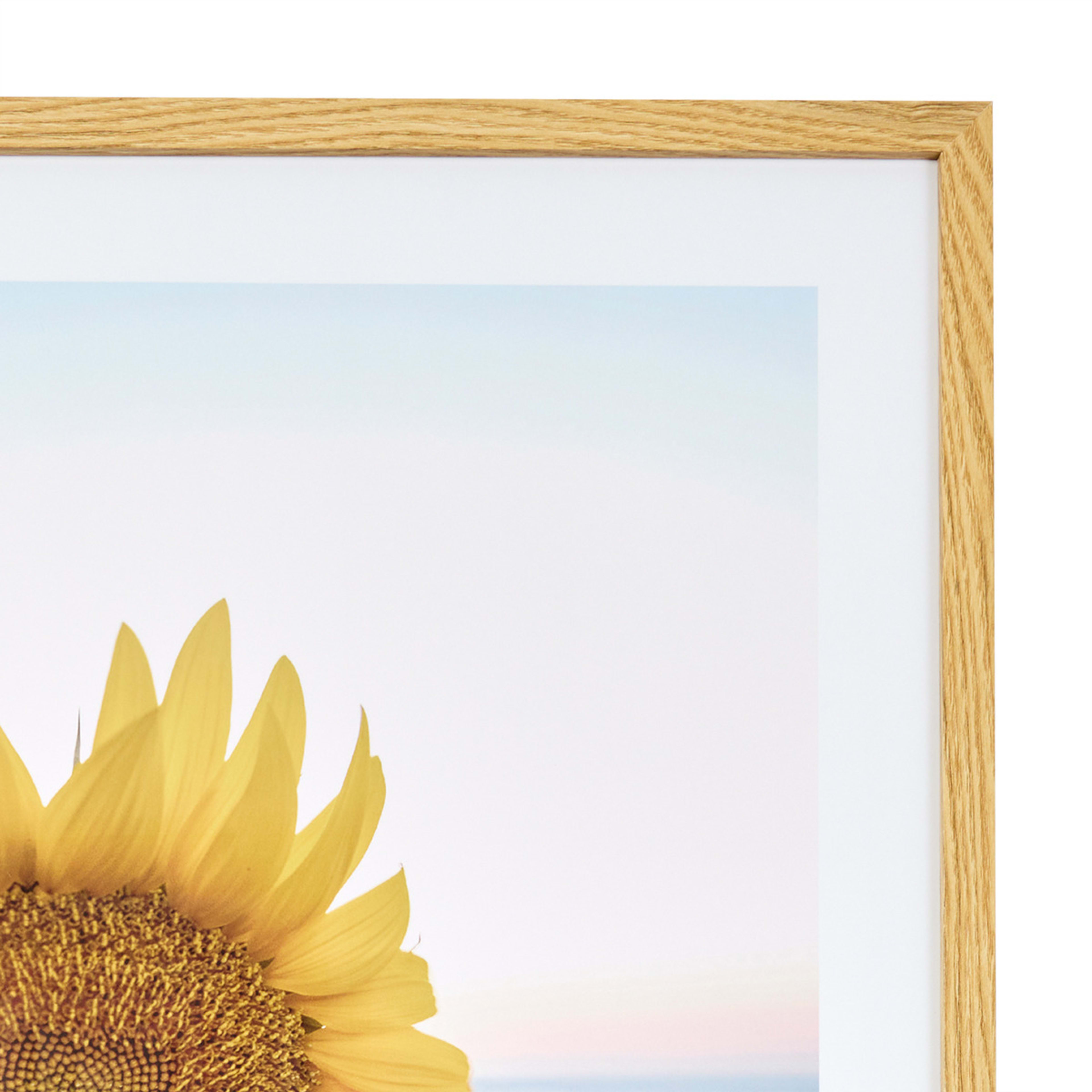 Sunflower Framed Print Kmart