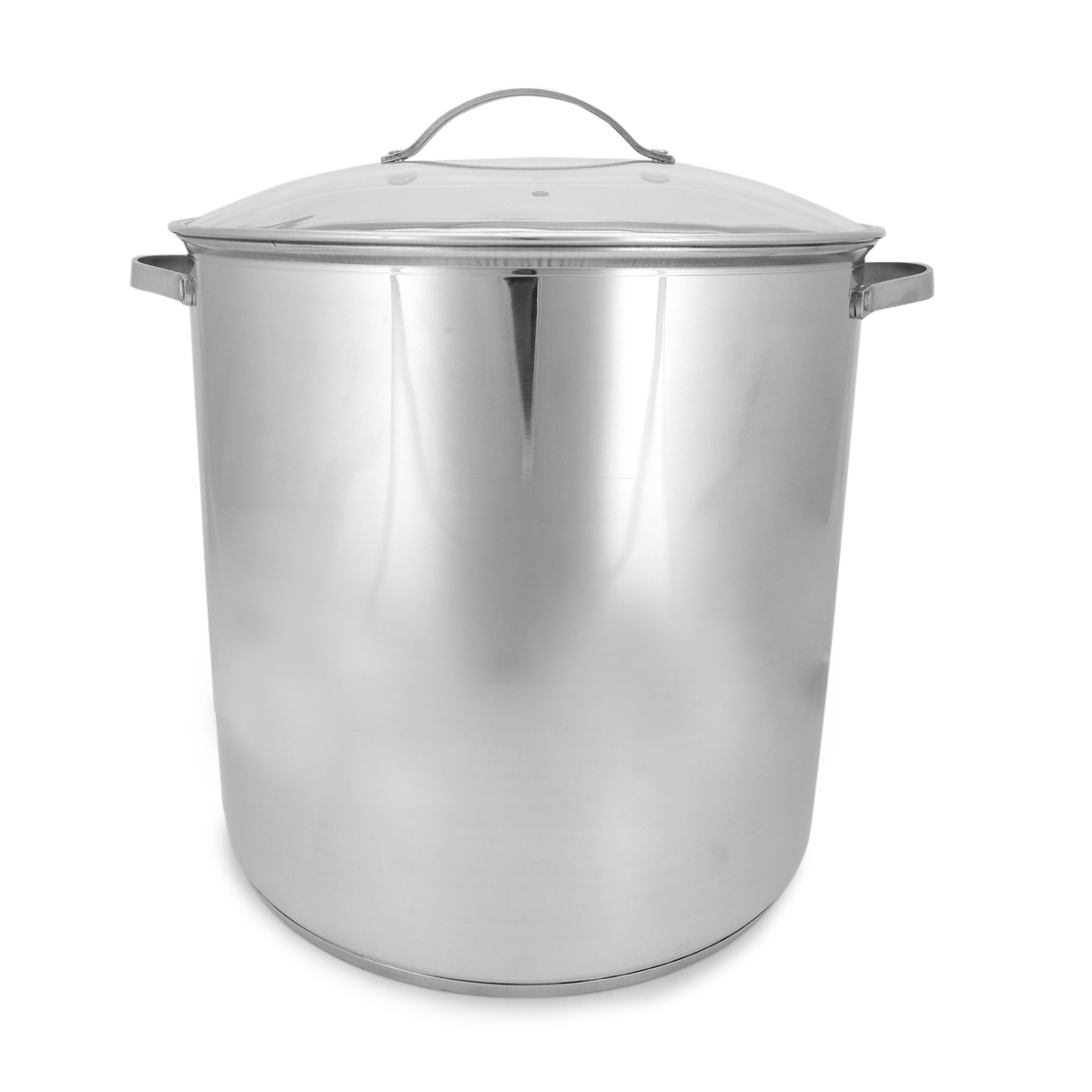 1 19L Stainless Steel Stock Pot