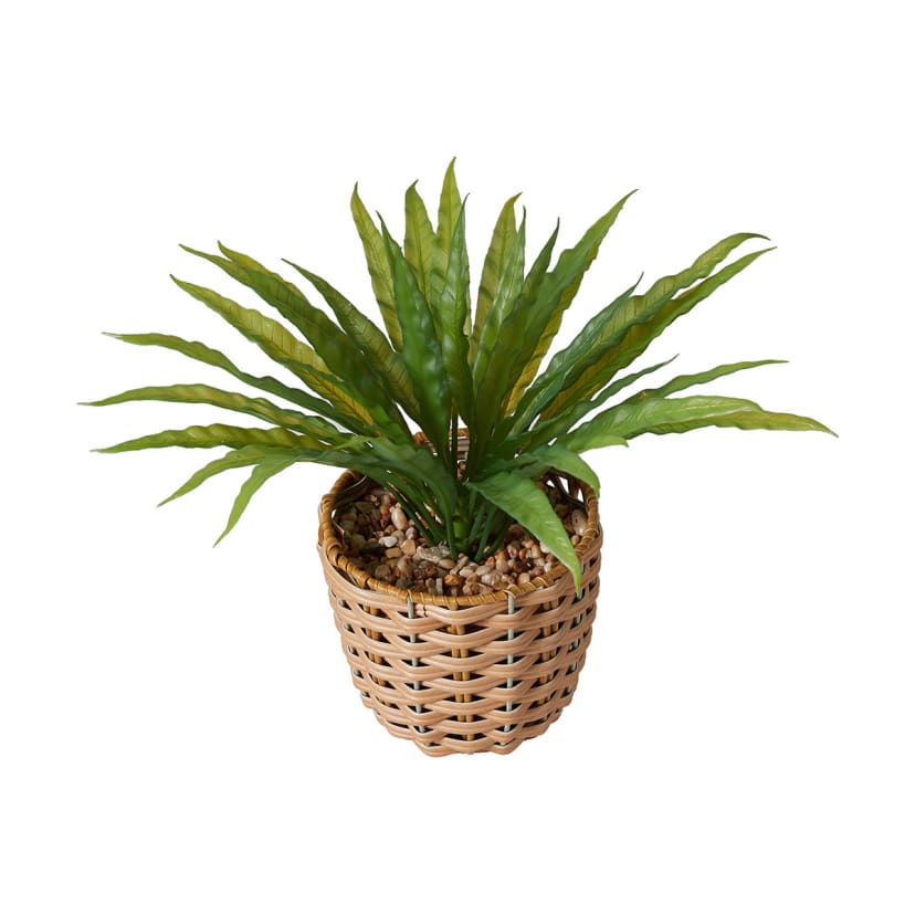 Artificial Birds Nest Fern Kmart