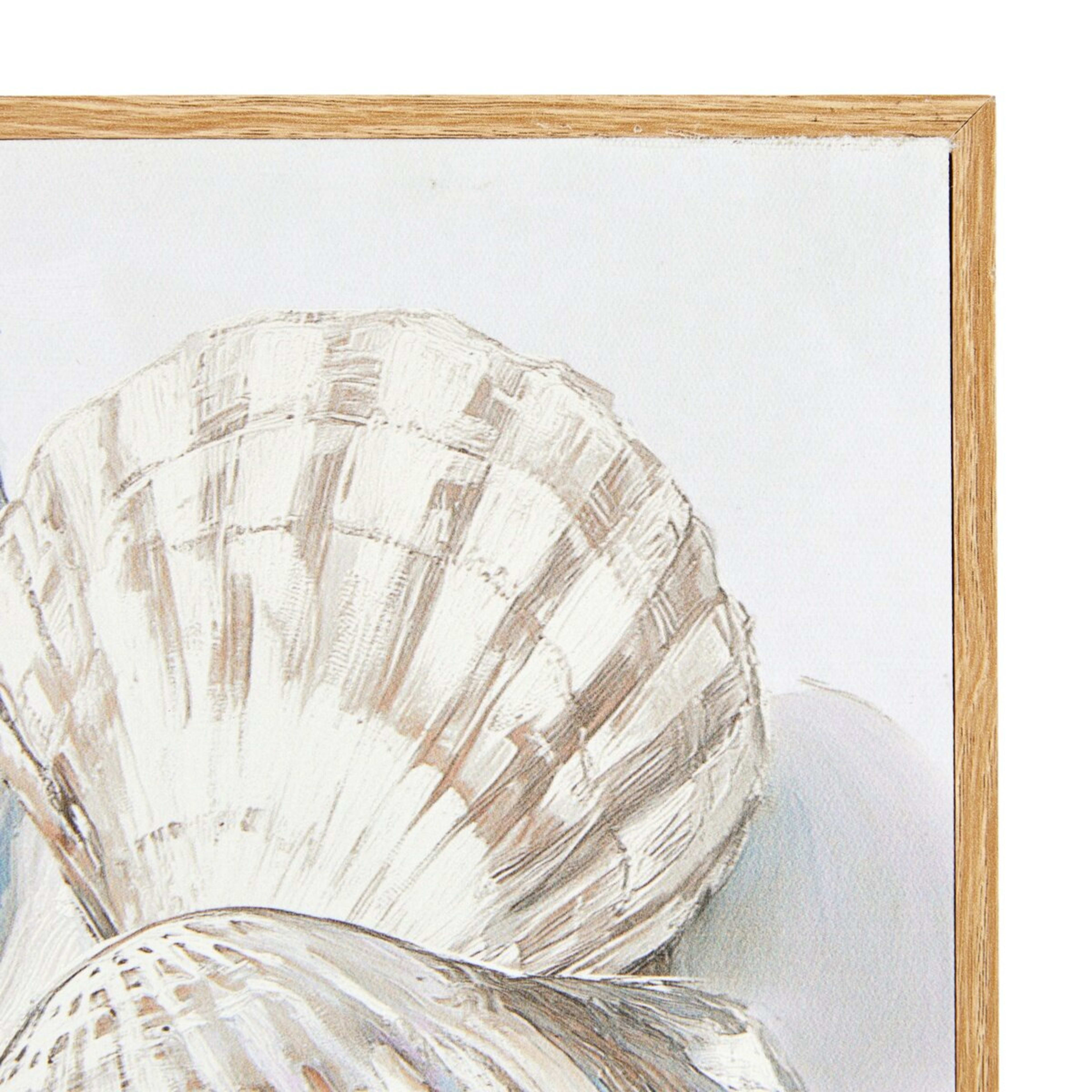 2 Shells Framed Canvas, 2 of 5
