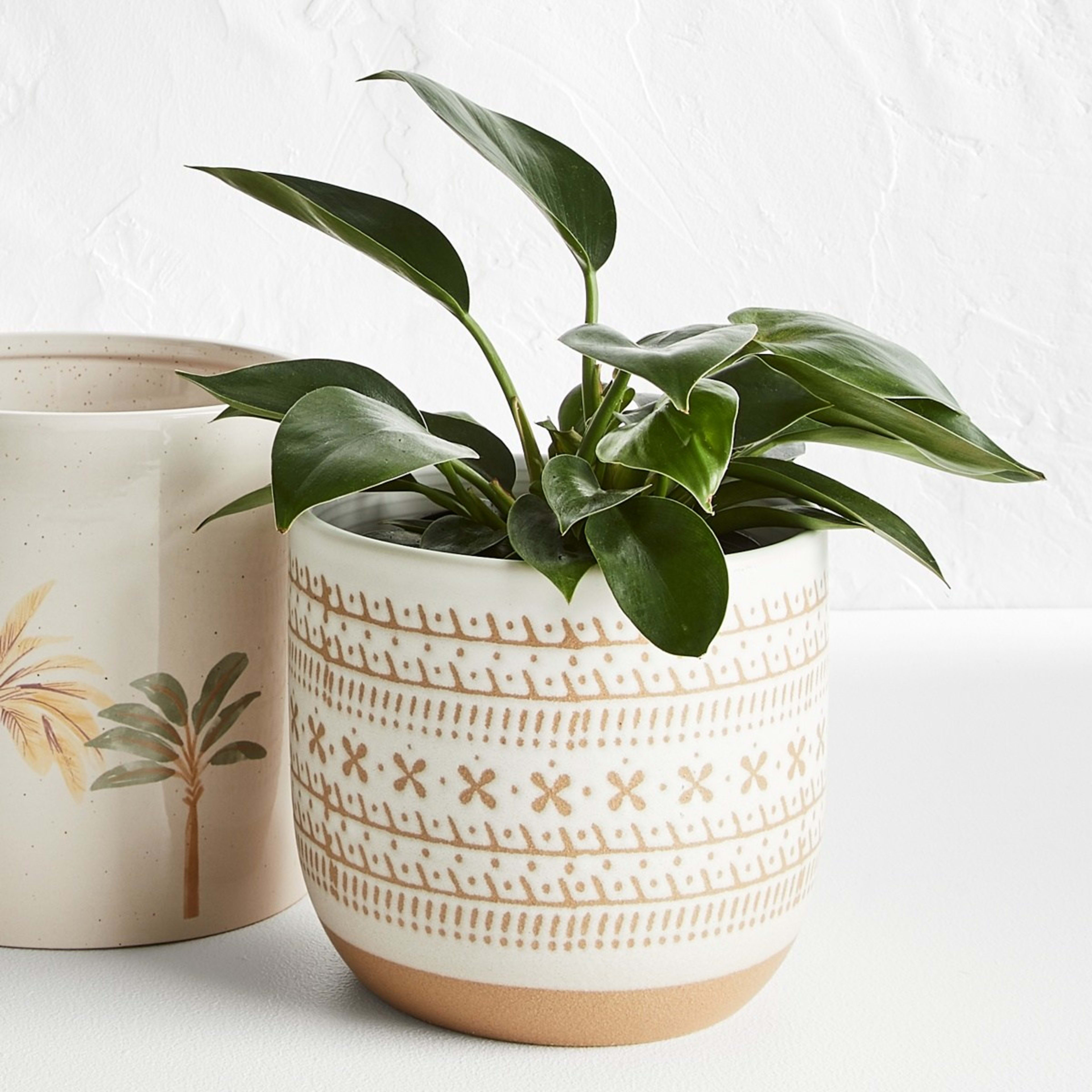 Debossed Pot Large Kmart