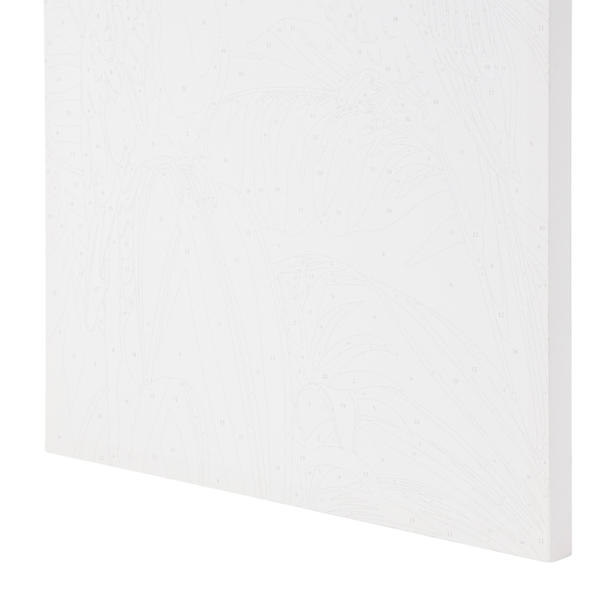 Paint By Numbers Parrots Kmart