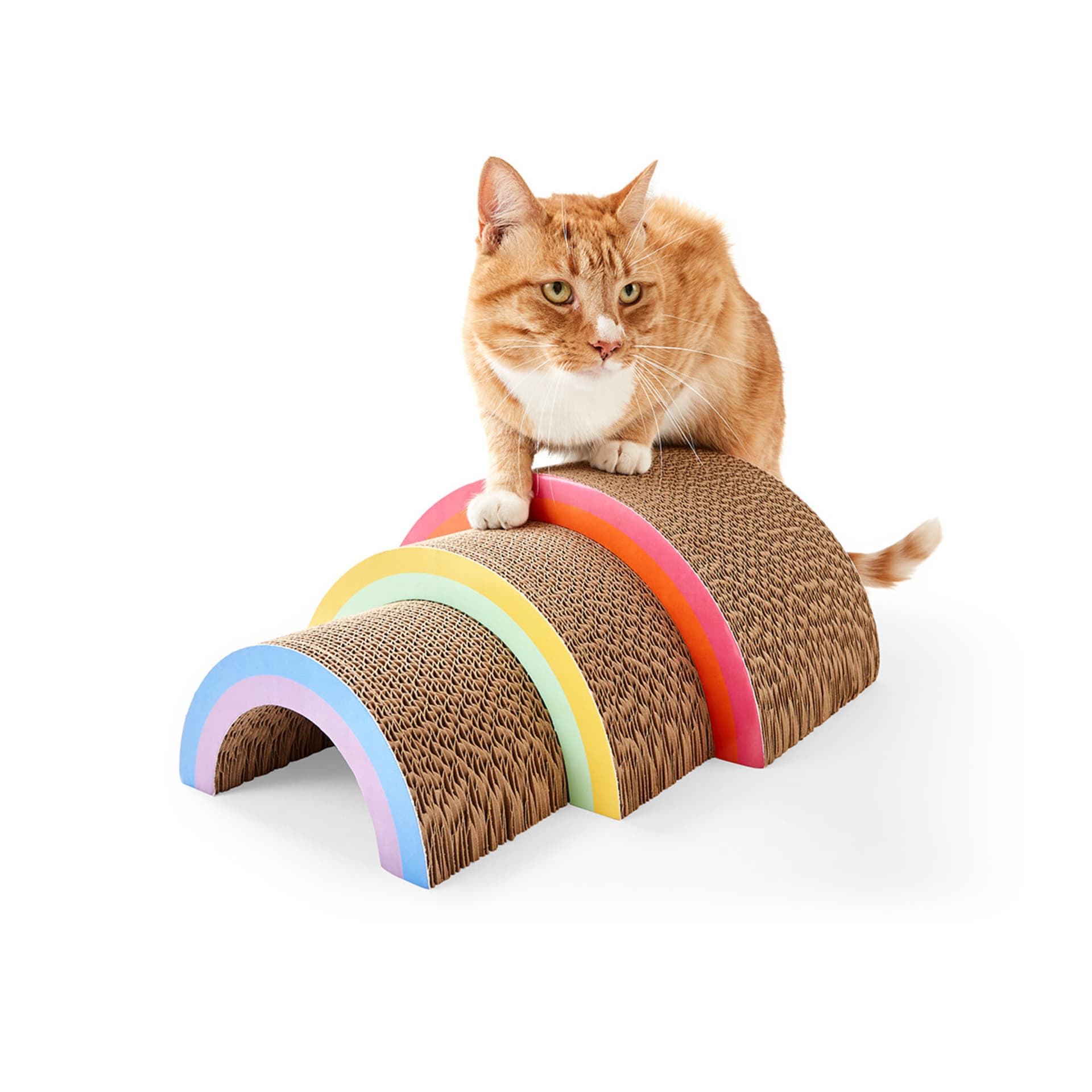 Cat Scratcher Rainbow Kmart