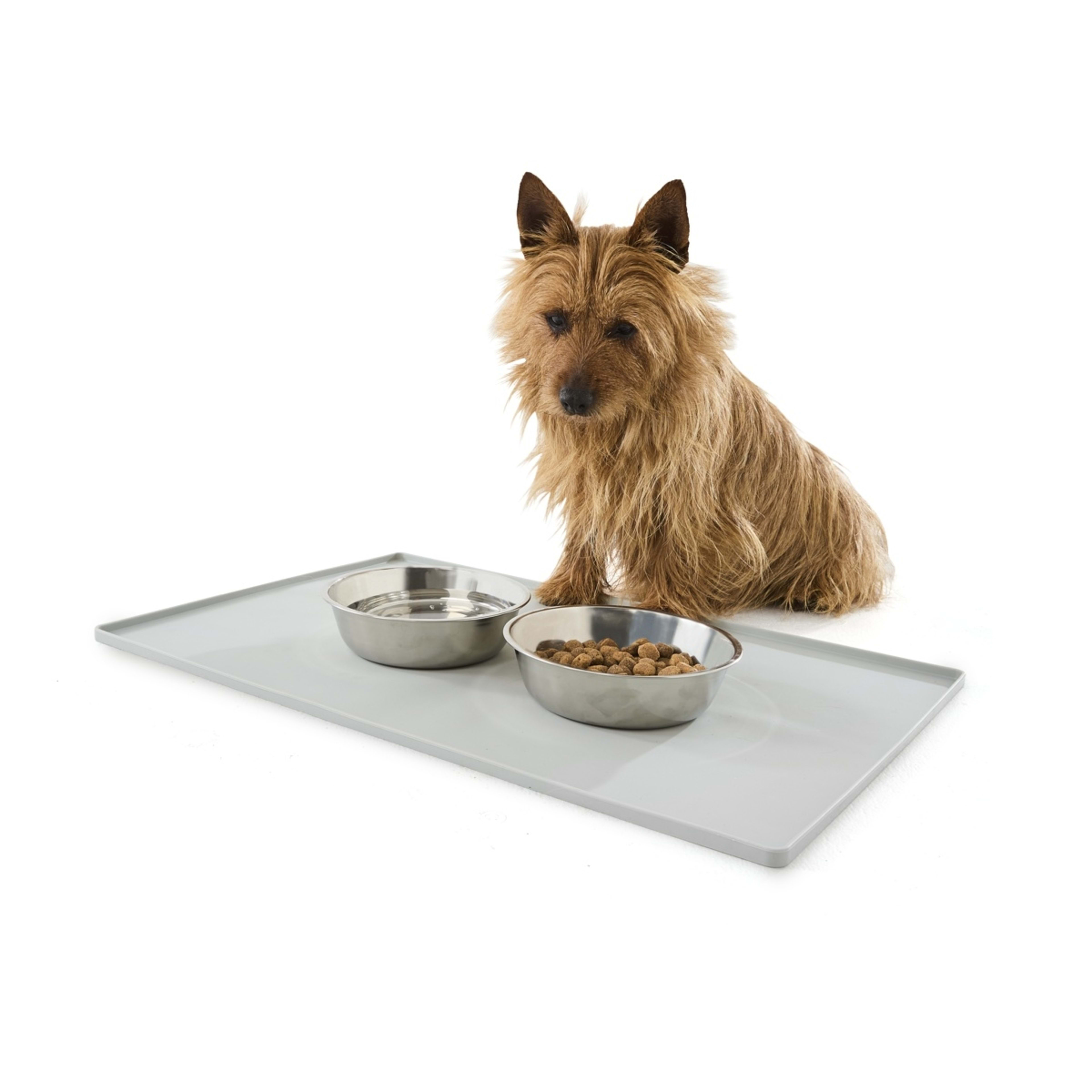 1 Pet Meal Mat - Large, 1 of 4