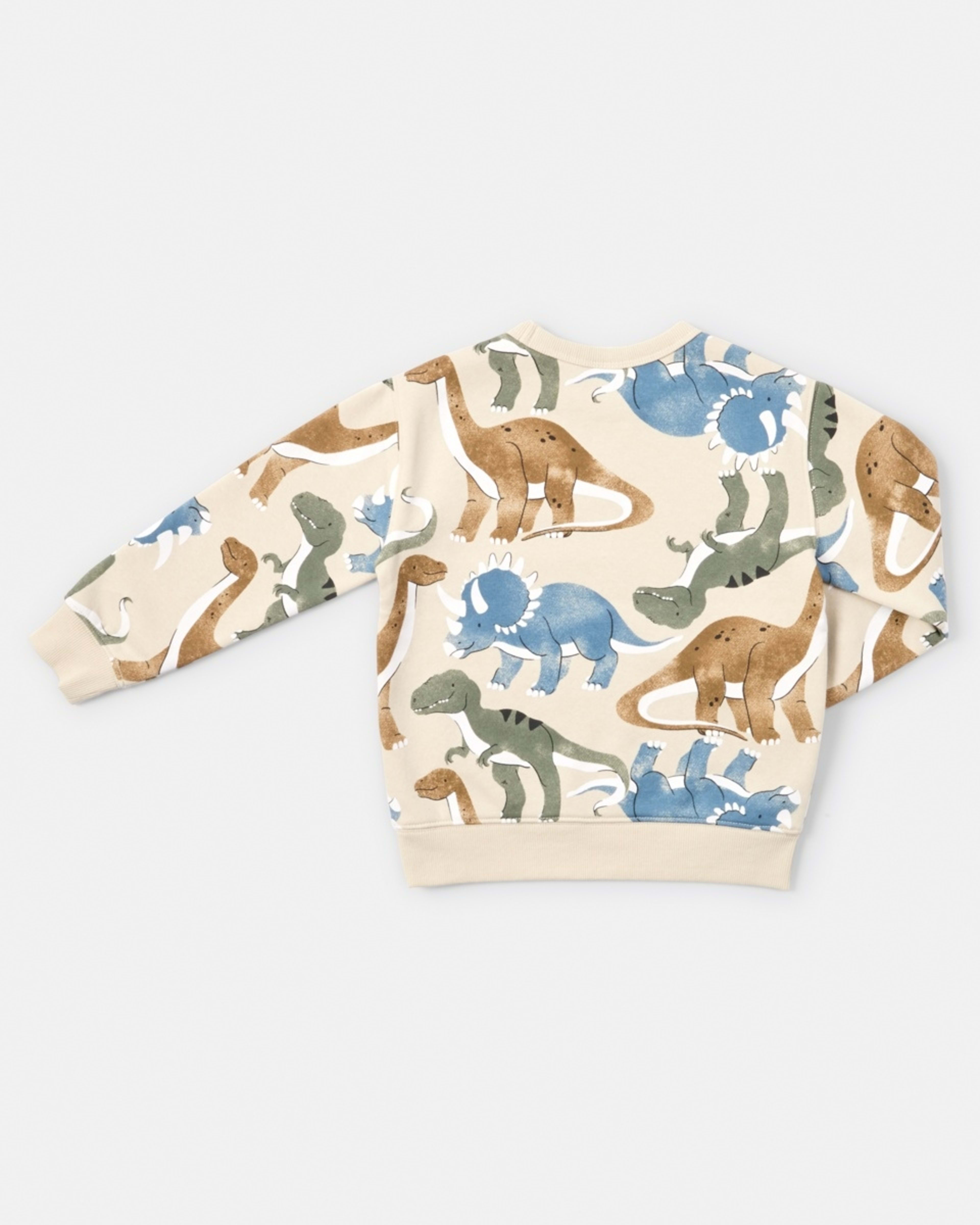 9 All Over Print Crew Neck Sweatshirt Bge Dino, 9 of 9