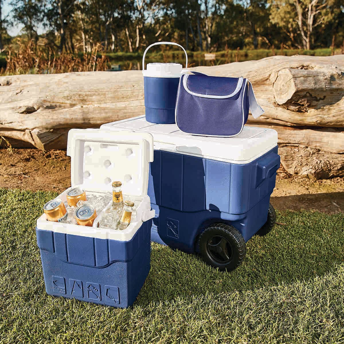 Kmart picnic cooler new arrivals