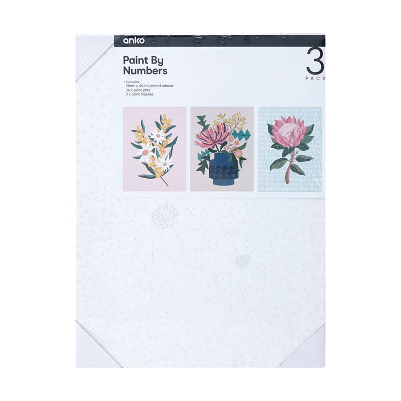 3 Pack Paint by Numbers Floral Bouquet Kmart