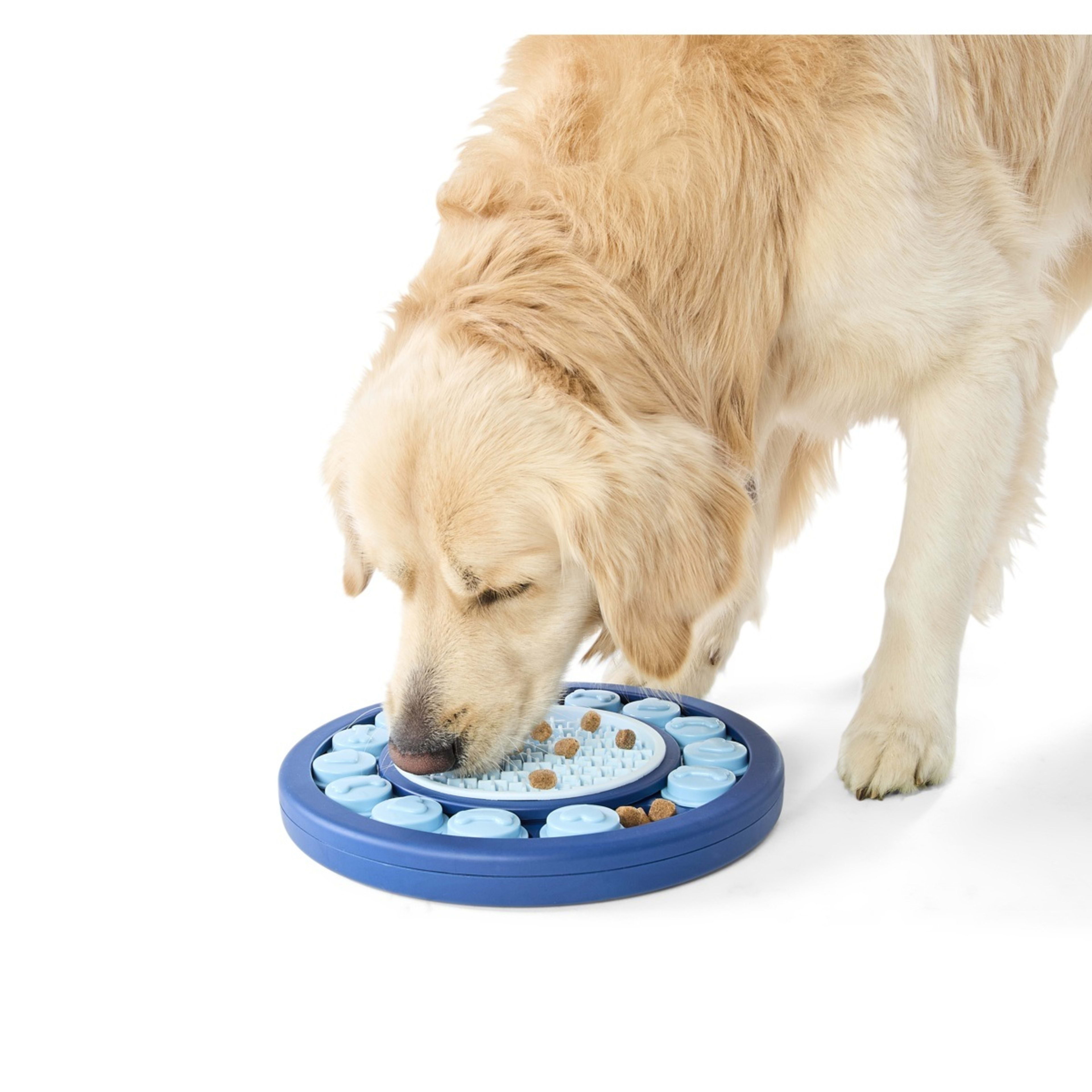 1 Pet IQ Toy Lick Mat